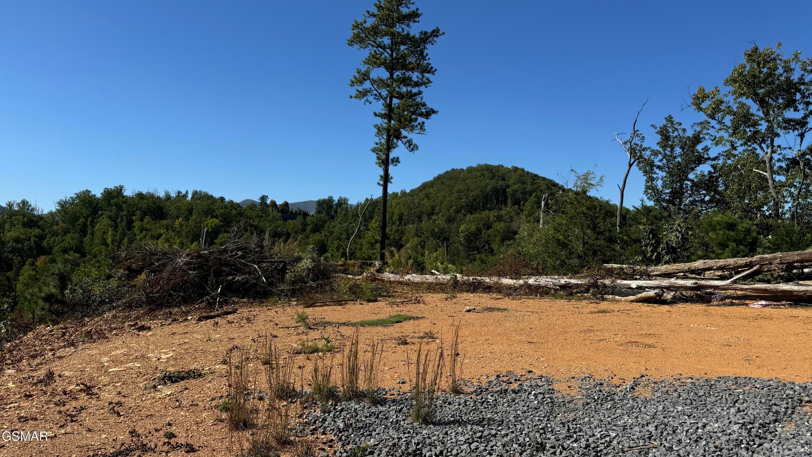 Gatlinburg, Tennessee, 37738, United States, ,Land,For Sale,1973768