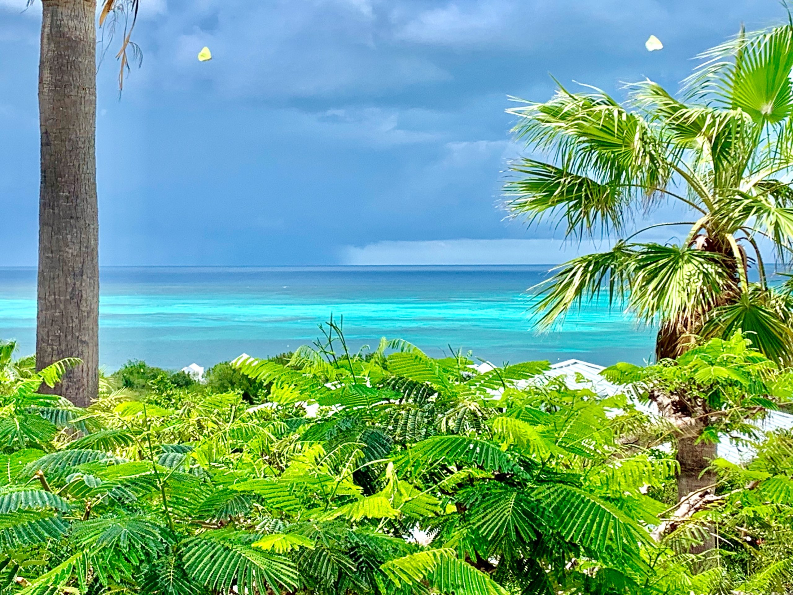 Crown Ridge Drive Villa + Guest House, Providenciales, TC, ,4 BathroomsBathrooms,Residential,For Sale,Crown Ridge Drive Villa + Guest House,1219429