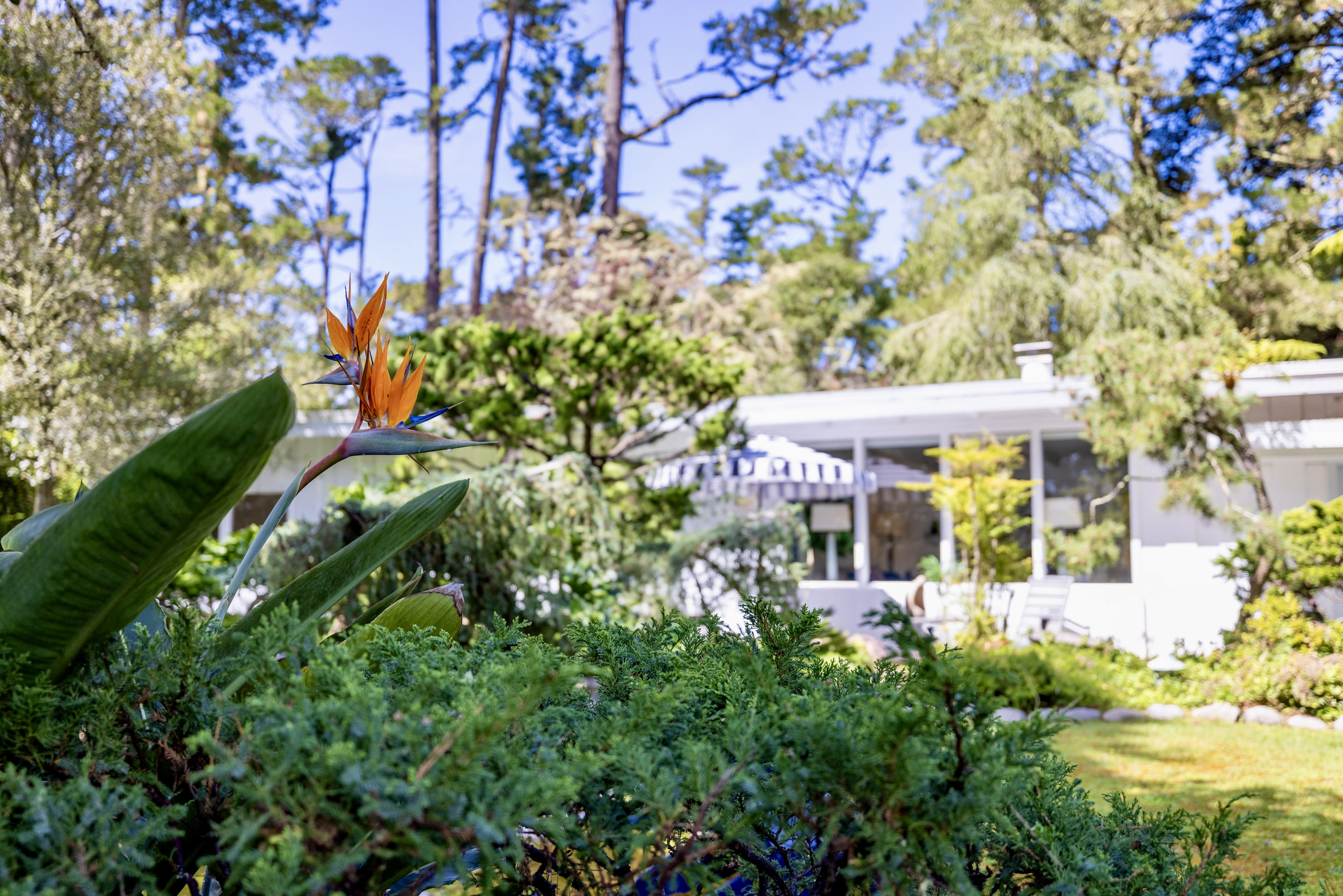  4058 El Bosque Drive - 物件實景