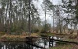 2418 NE OMAR TER, Lake City, Florida, 32055, United States, ,Land,For Sale,2418 NE OMAR TER,1680072