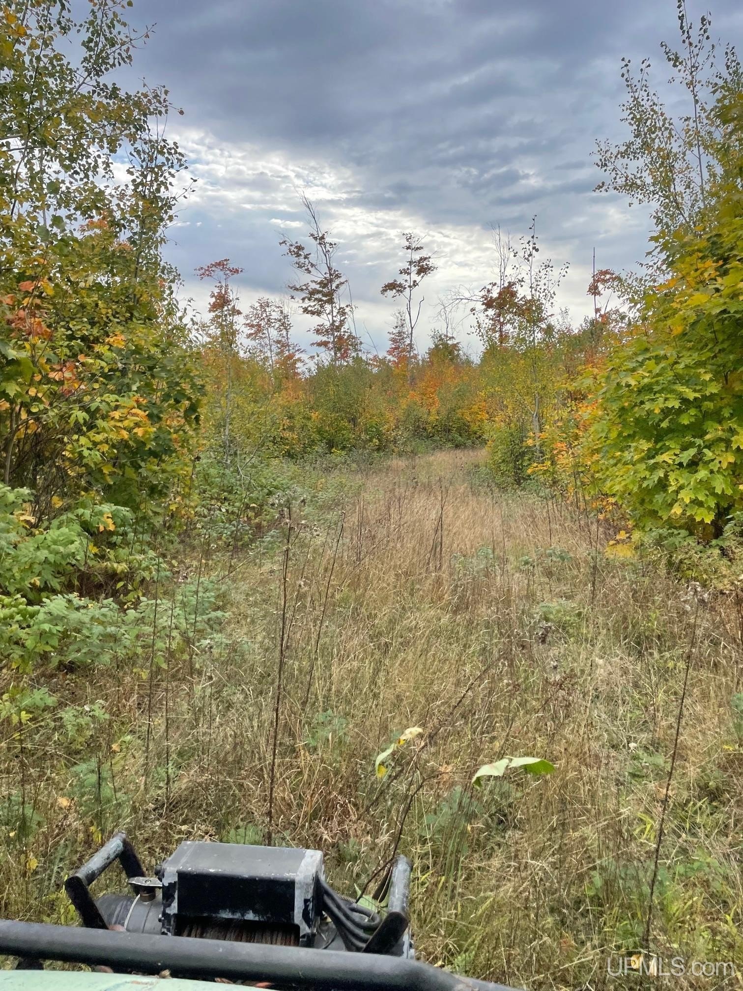Ishpeming, Michigan, 49849, United States, ,Land,For Sale,2017731