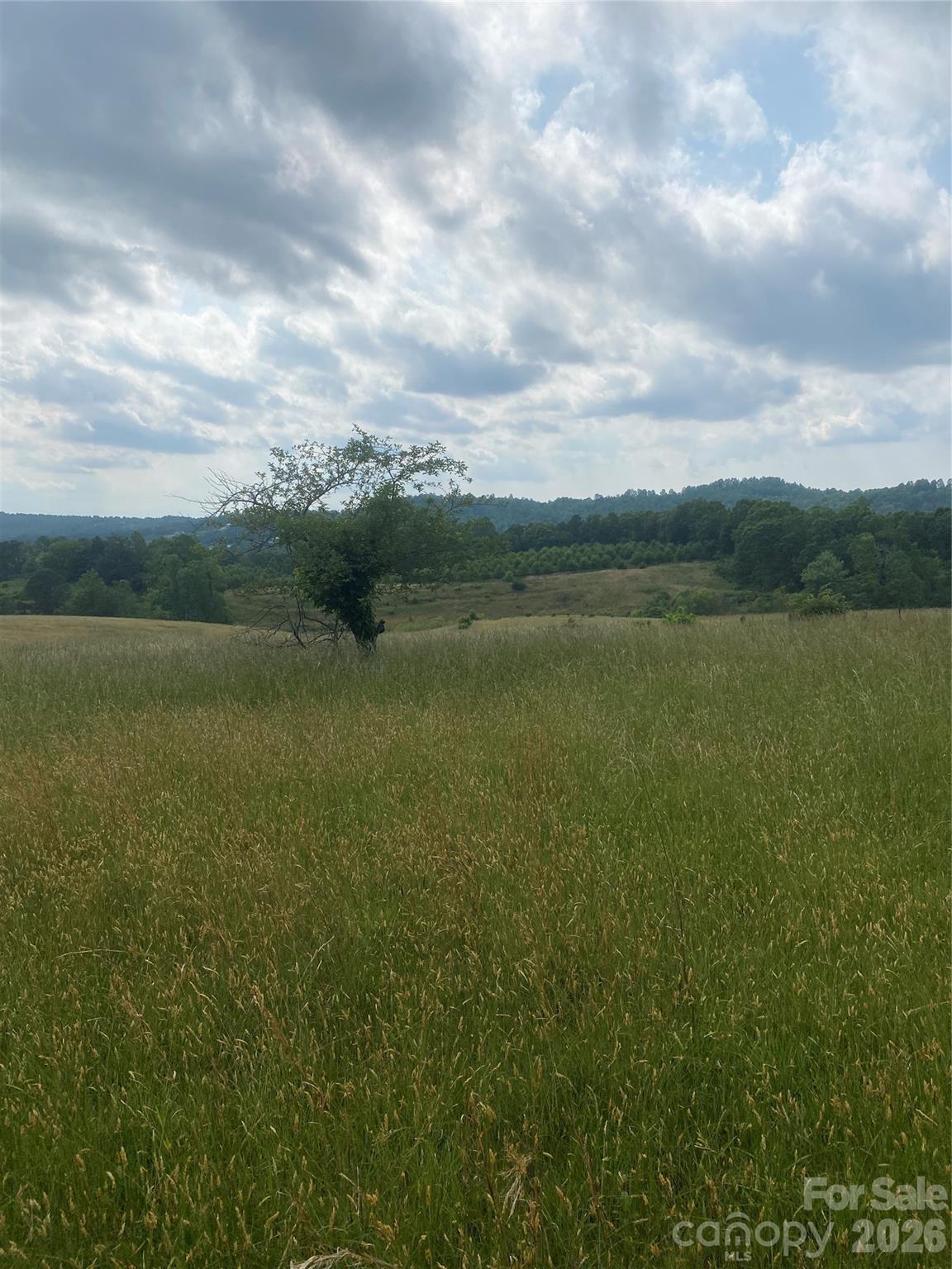 Hendersonville, North Carolina, 28792, United States, ,Land,For Sale,2010421