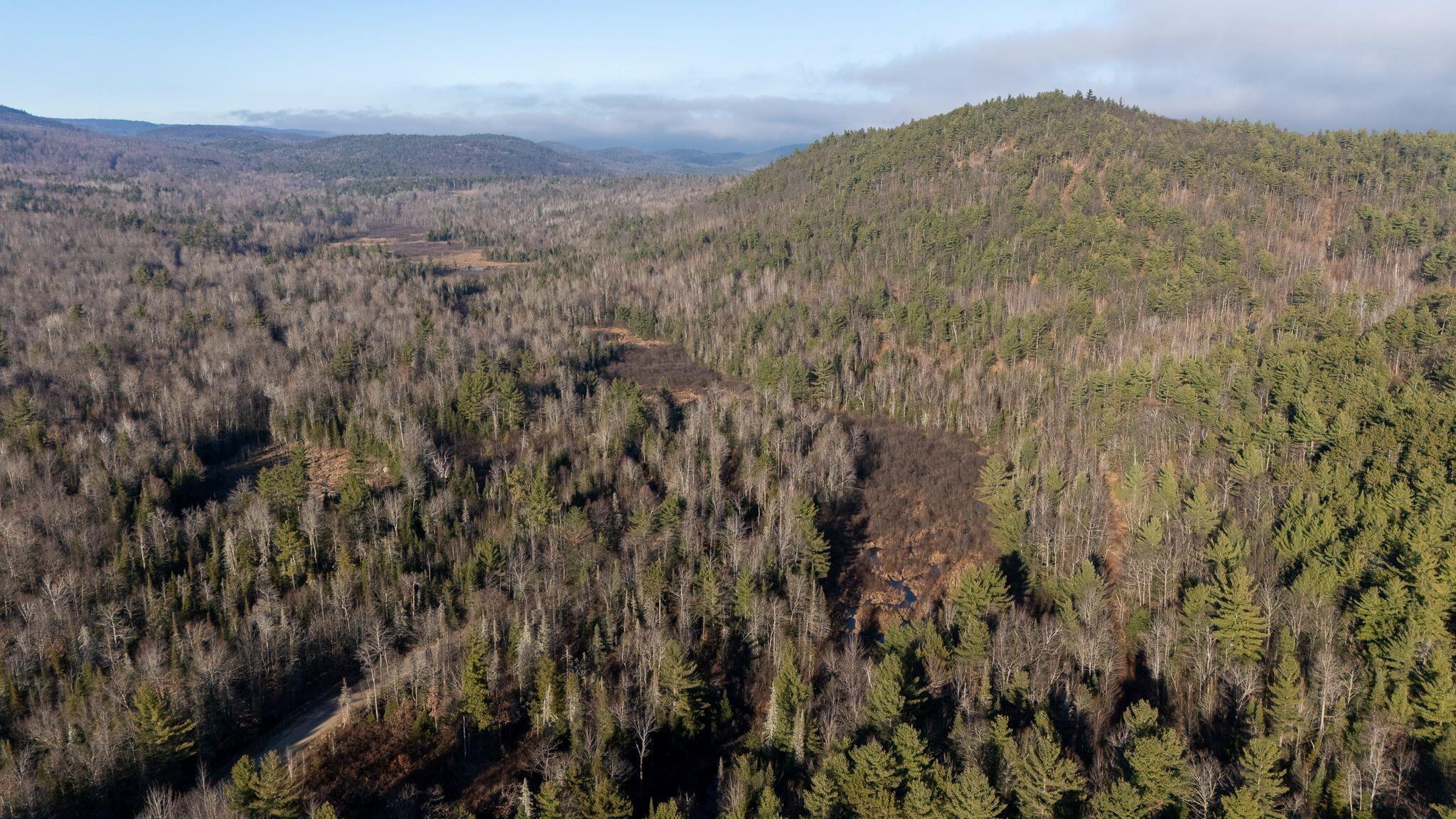 358 Buck Hill Road, Black Brook, New York, 12912, United States, ,Land,For Sale,358 Buck Hill Road,1668250