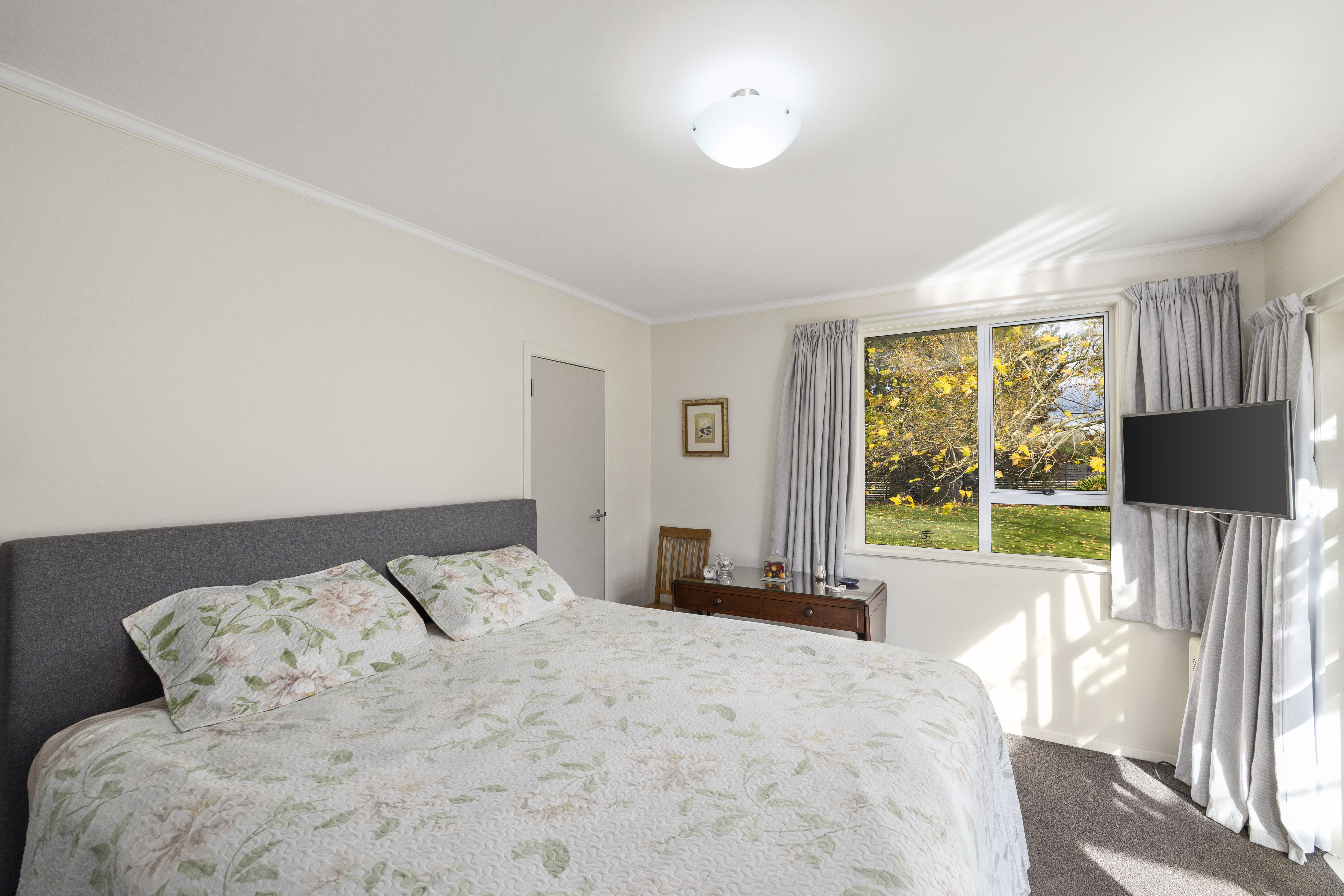  Wairarapa Lifestyle Haven - 物件實景