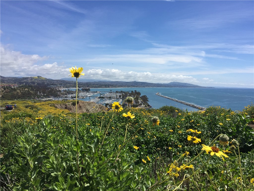 Dana Point, California, 92629, United States, ,Residential,For Sale,1924804