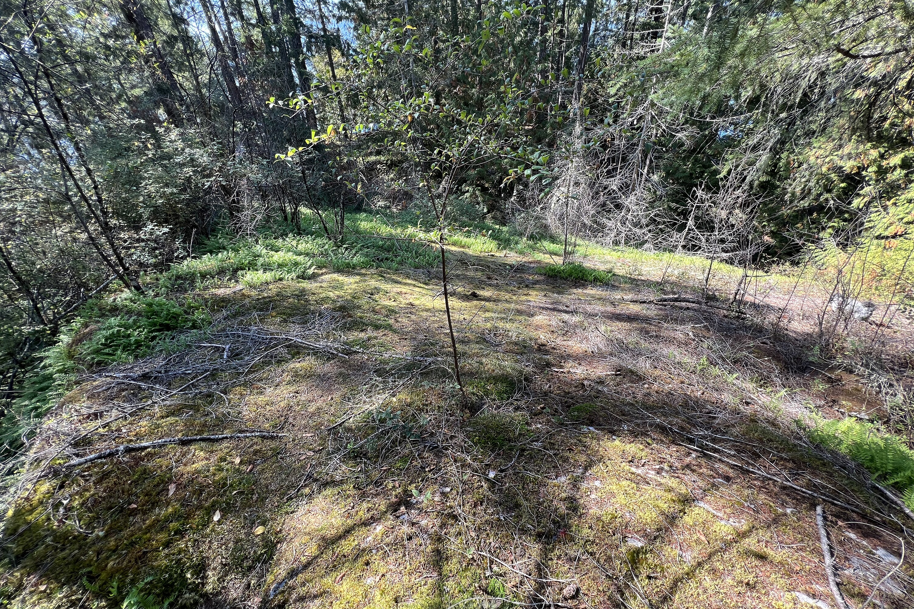  Sechelt, Sunshine Coast - 物件實景