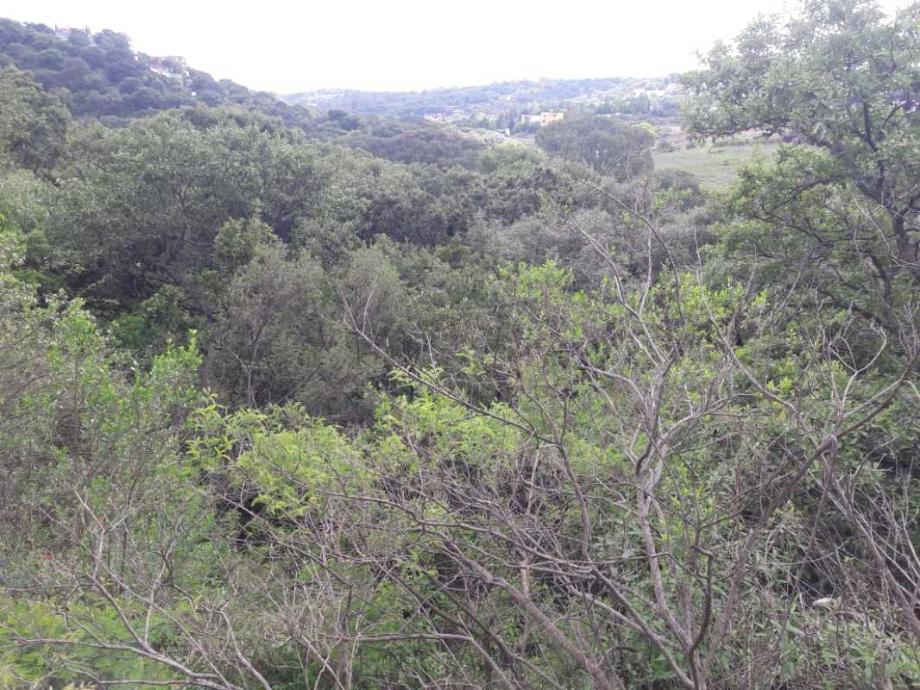 Castillo de Nottingham, Atizapán de Zaragoza, Estado de México, 52938, Mexico, 1 Bedroom Bedrooms, ,Residential,For Sale,Castillo de Nottingham,1443318