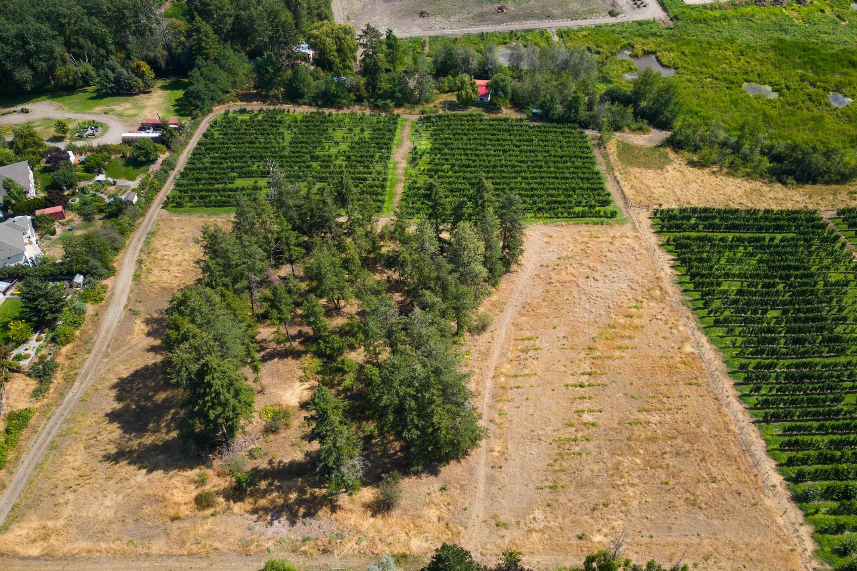  Stunning 10 Acre Parcel - 物件實景
