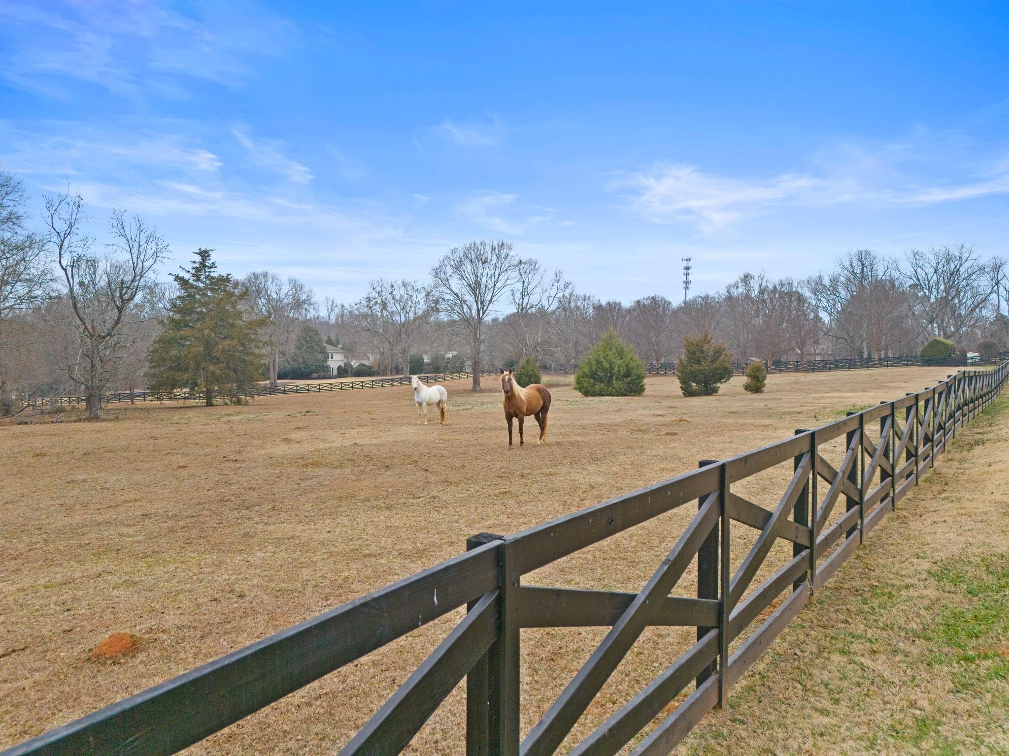 Spartanburg, South Carolina, 29301, United States, 5 Bedrooms Bedrooms, ,7 BathroomsBathrooms,Residential,For Sale,2008167