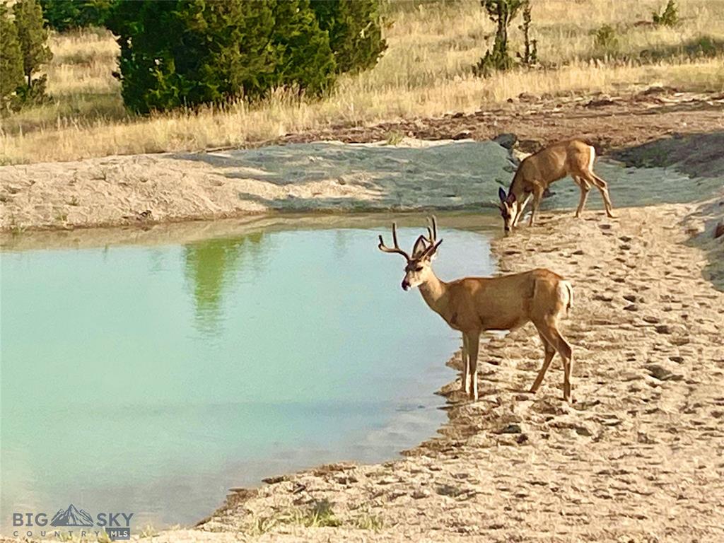 Butte, Montana, 59701, United States, 2 Bedrooms Bedrooms, ,2 BathroomsBathrooms,Residential,For Sale,1980136