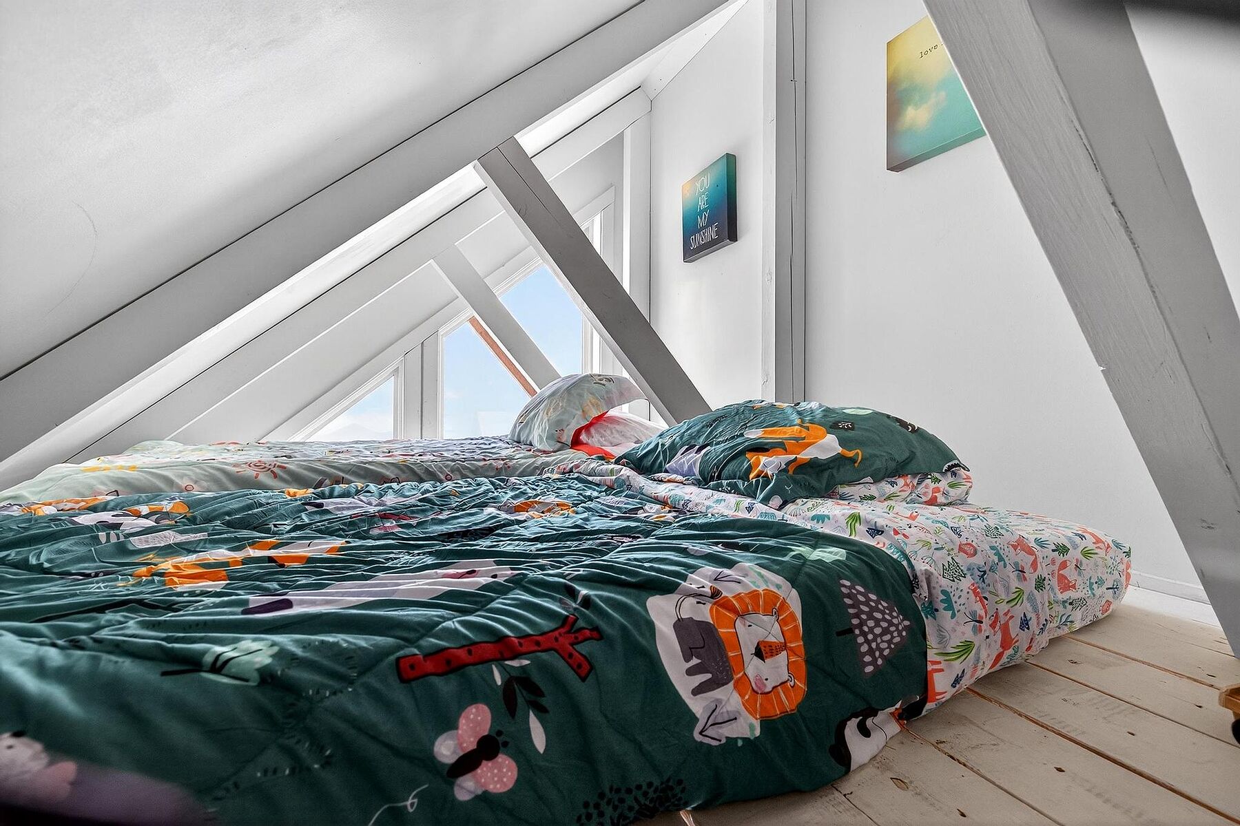  Big White, Thompson & Okanagan - 物件實景