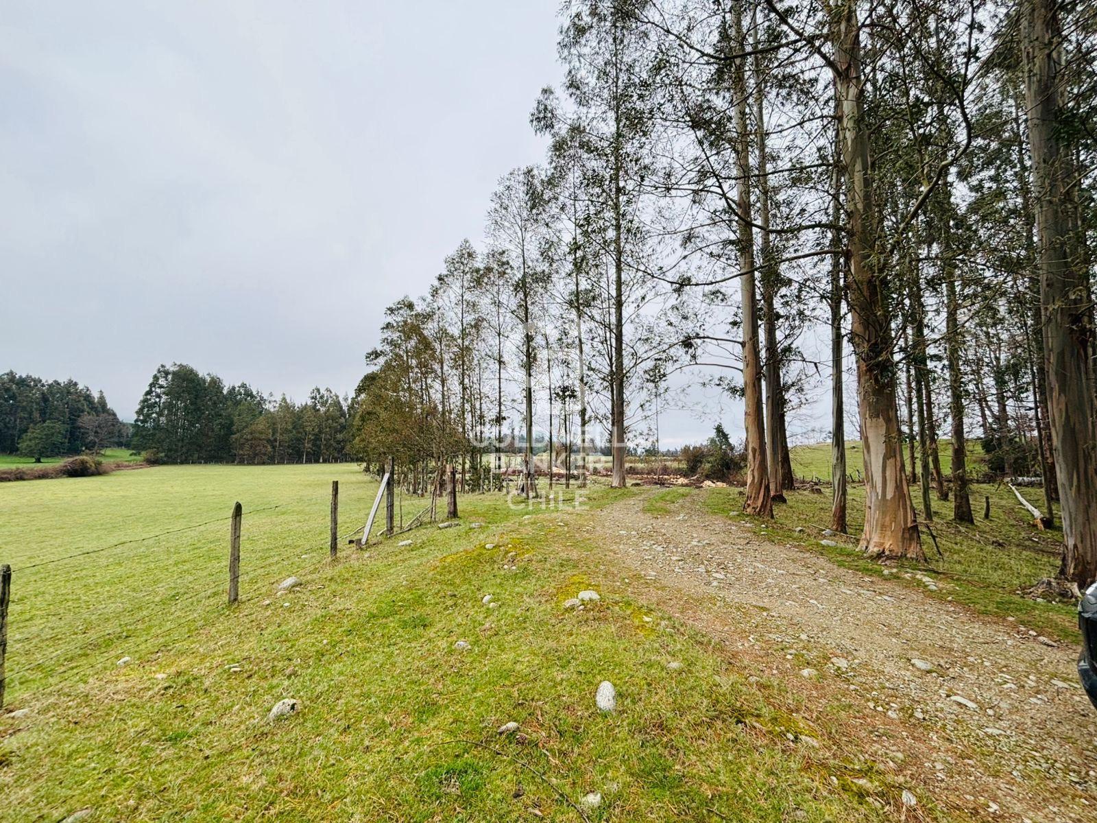 Futrono, Chile, ,Residential,For Sale,1934397