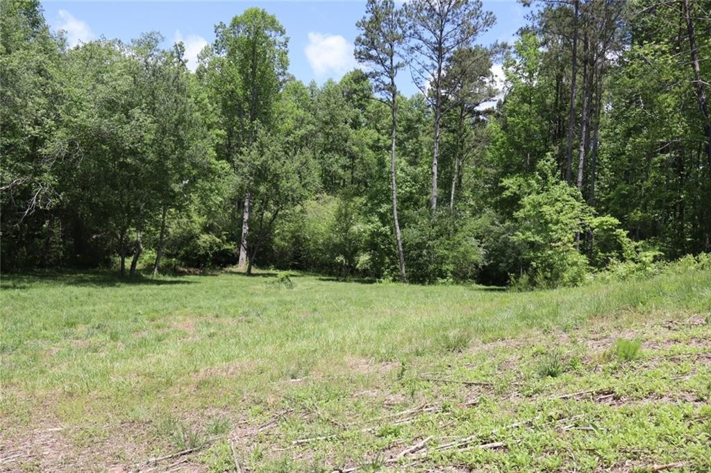 Ellijay, Georgia, 30540, United States, ,Residential,For Sale,1881390