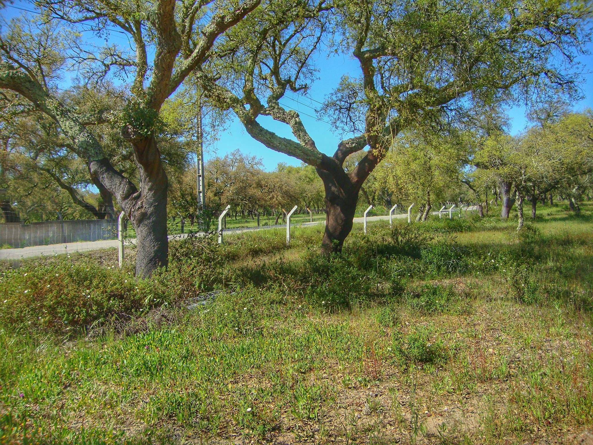 2890, United States, ,Residential,For Sale,1951031