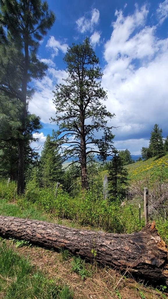 Council, Idaho, 83612, United States, 3 Bedrooms Bedrooms, ,2 BathroomsBathrooms,Residential,For Sale,1980798