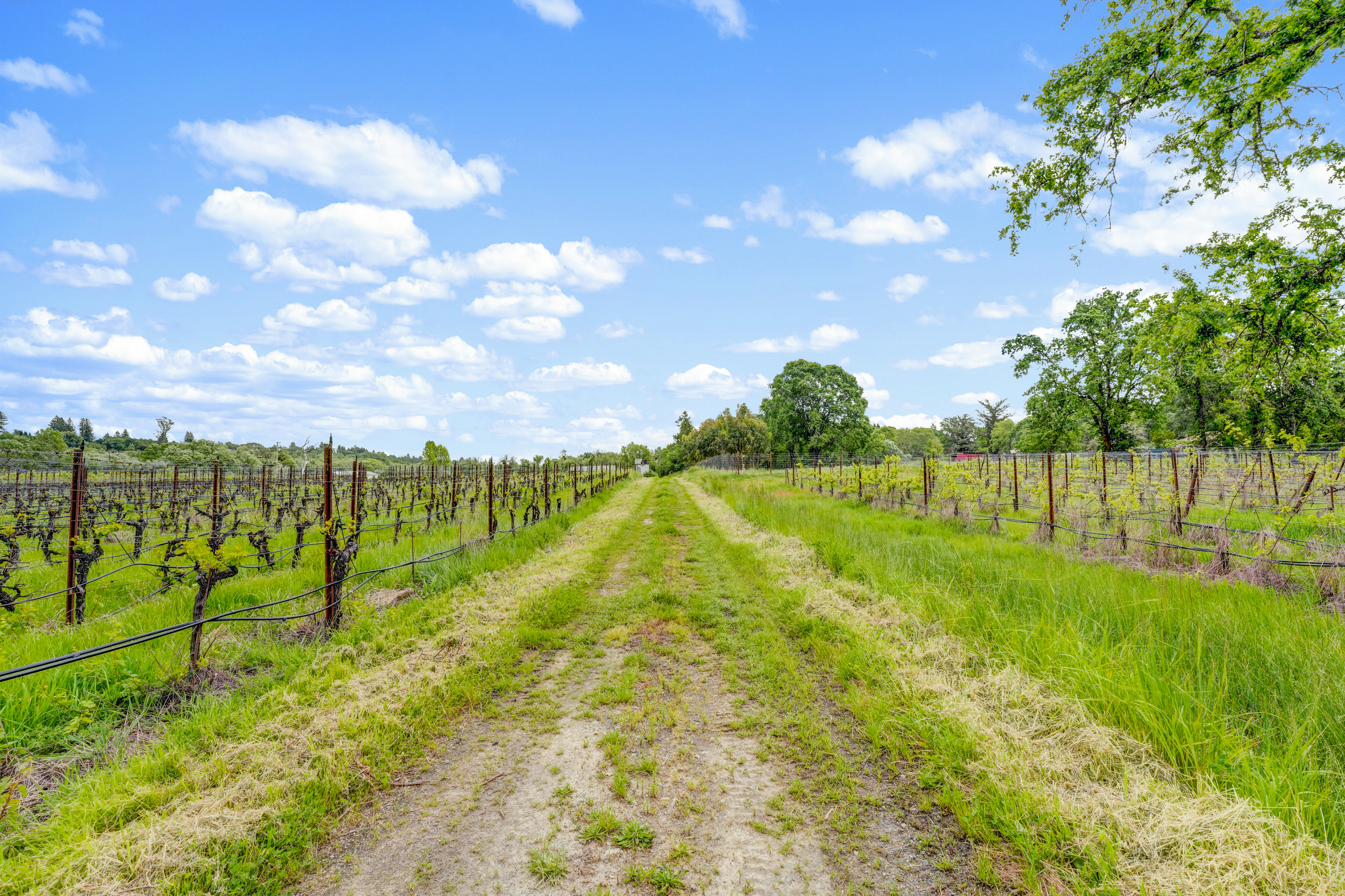  9700 Mill Station Road, Sebastopol, CA 95472 - 物件實景