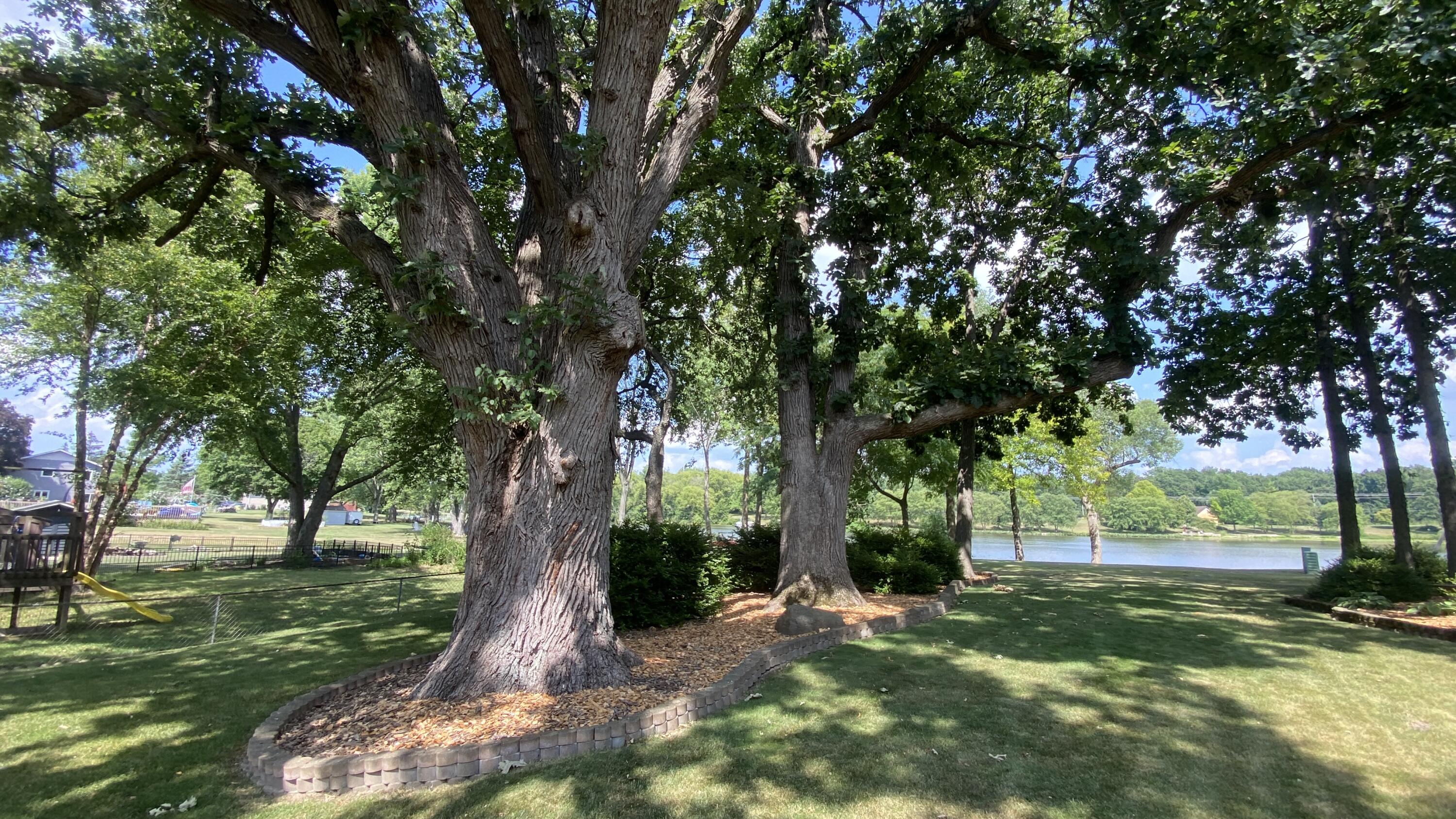 Crown Point, Indiana, 46307, United States, 4 Bedrooms Bedrooms, ,3 BathroomsBathrooms,Residential,For Sale,1924051