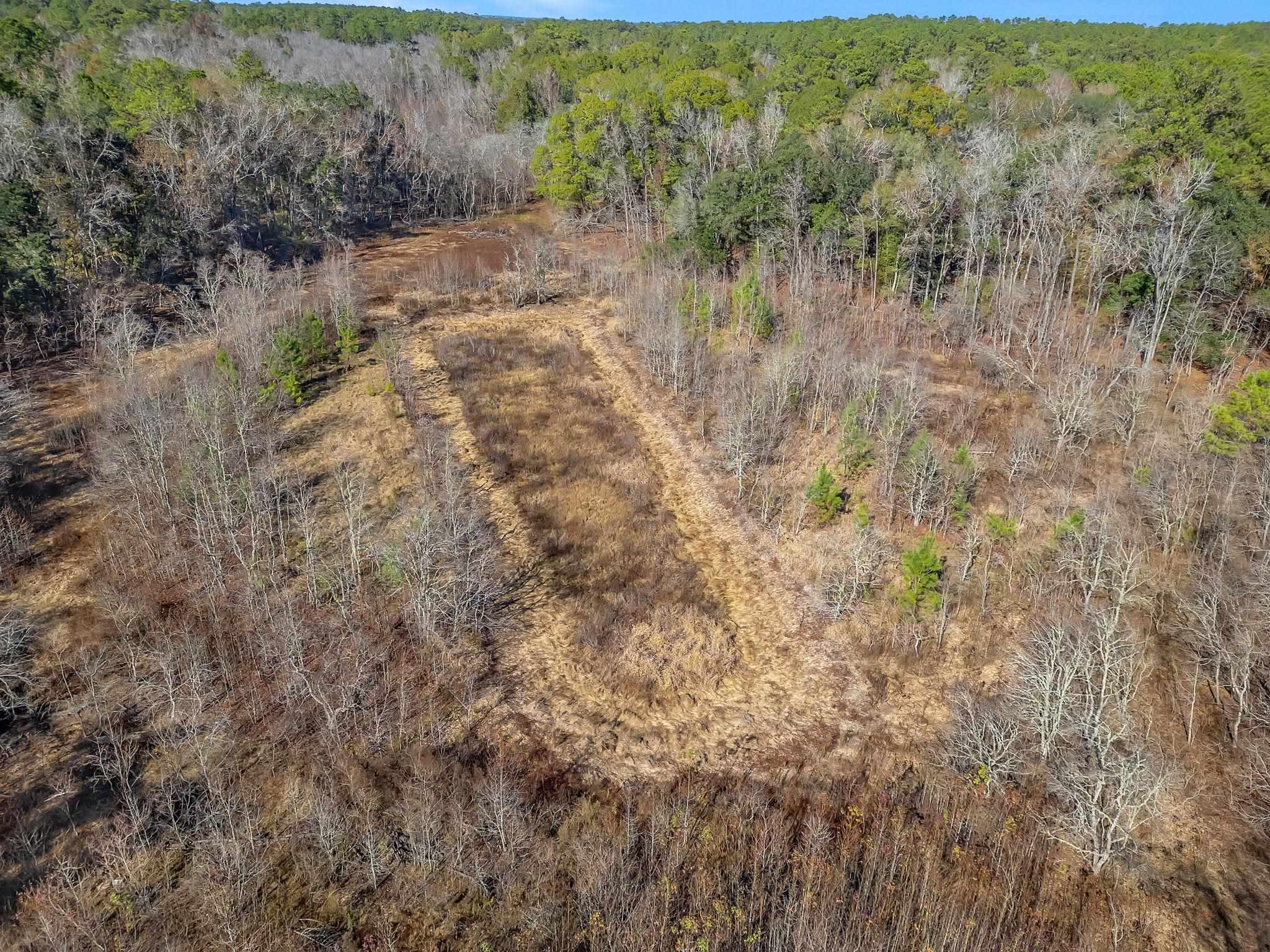Tallahassee, Florida, 32312, United States, ,Land,For Sale,2003091