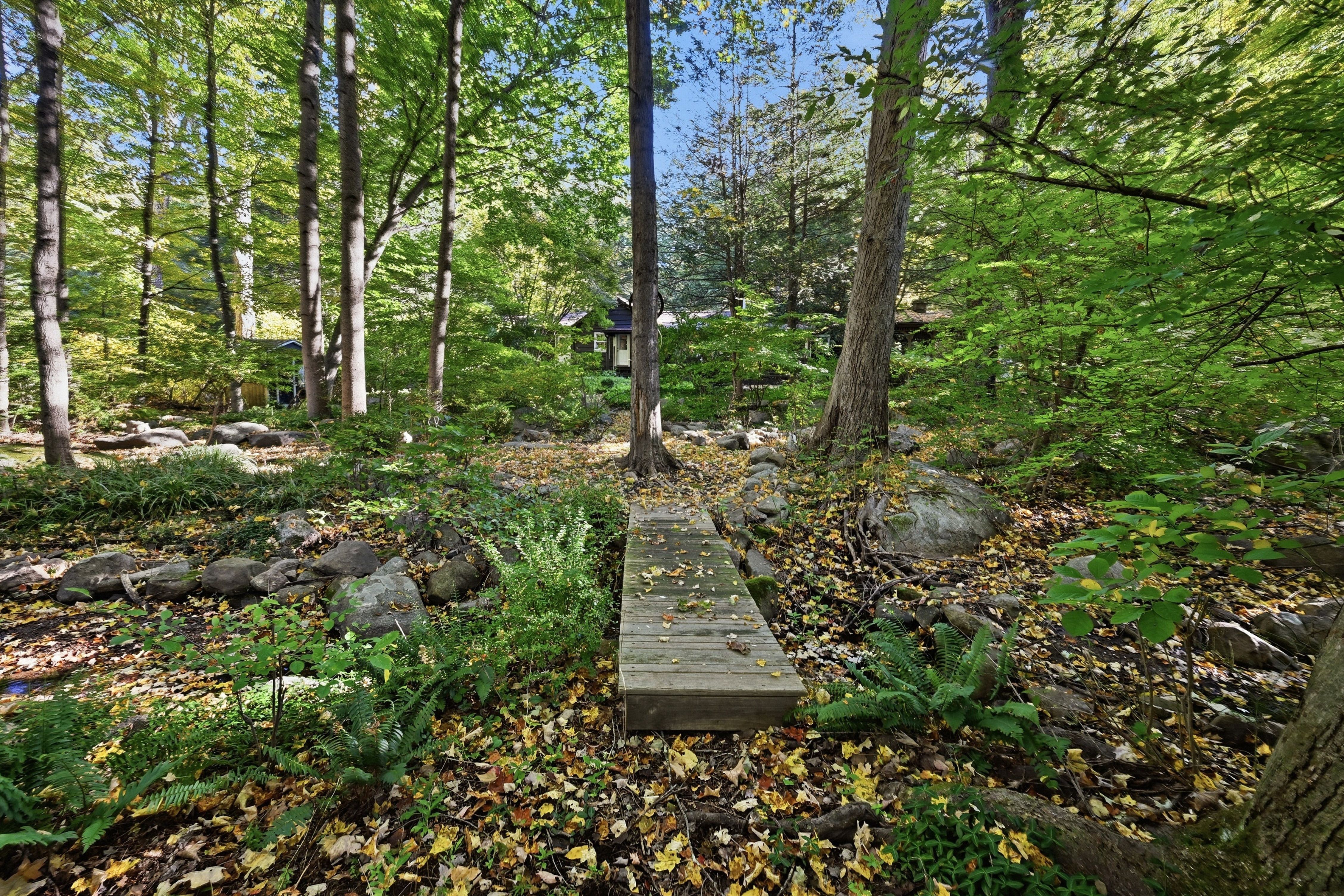  Charming Cottage/Ranch in Birch Groves - 物件實景