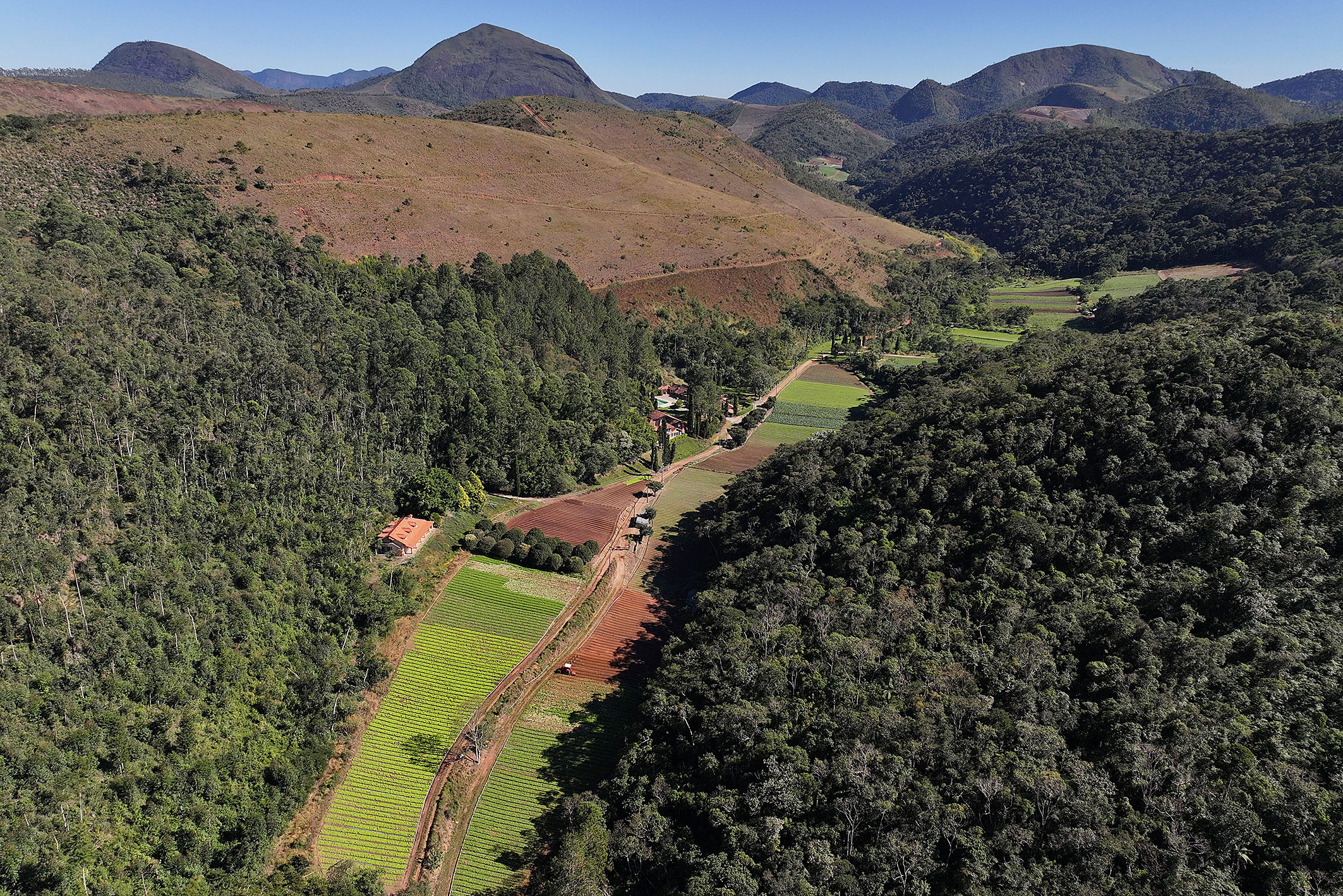  Productive estate spanning 865 acres in the mountains of Teresópolis - 物件實景