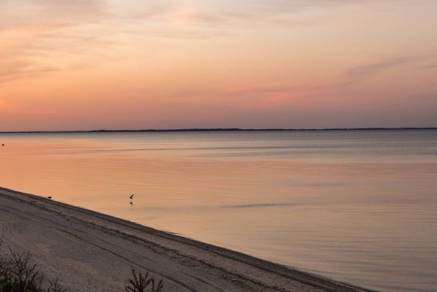 Modern Hamptons Retreat 500 ft. From Pristine Bay Beaches - 物件實景