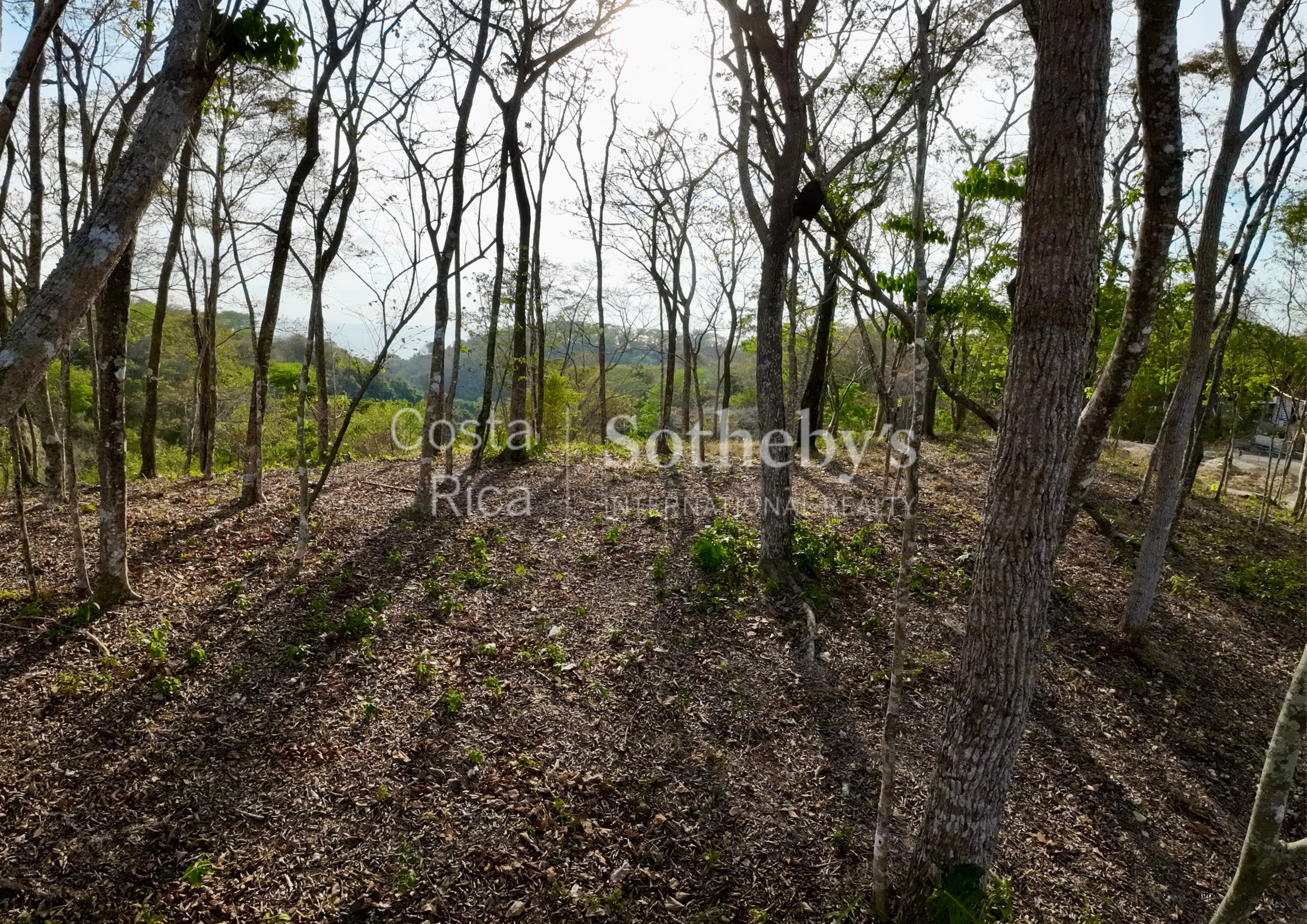  Expansive Ocean View Lot in the Hills of Hermosa - 物件實景