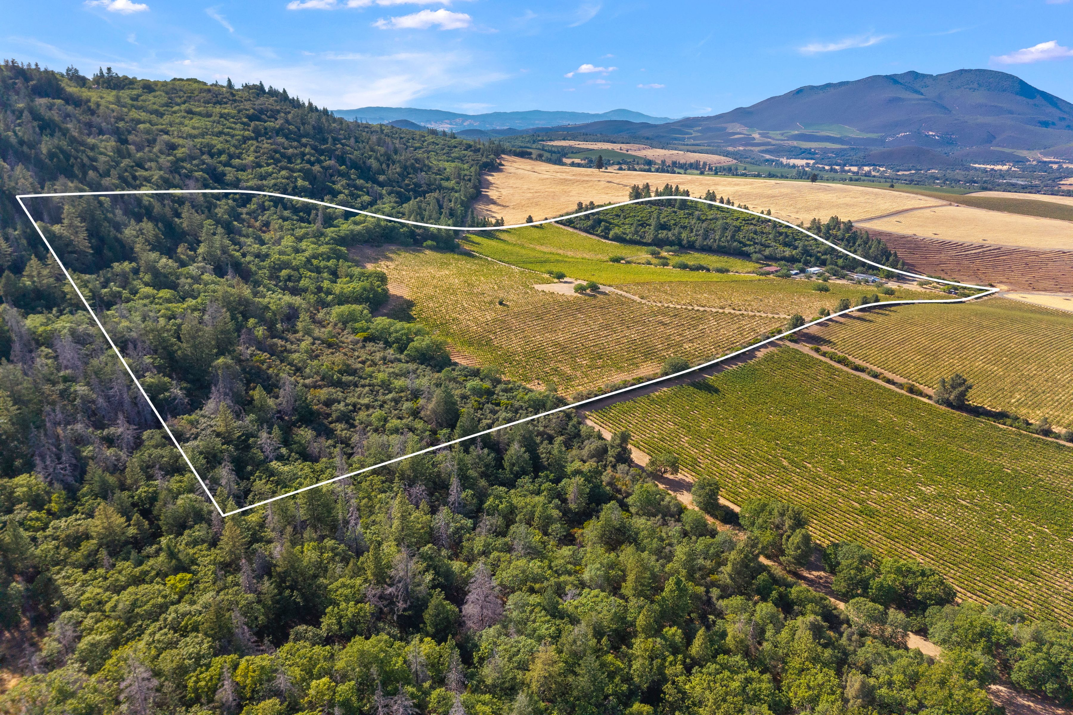  9300 Seigler Springs N Road - 物件實景