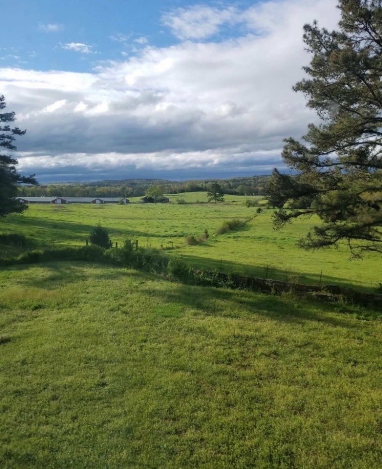 Clarksville, Arkansas, 72830, United States, 7 Bedrooms Bedrooms, ,3 BathroomsBathrooms,Residential,For Sale,2005713