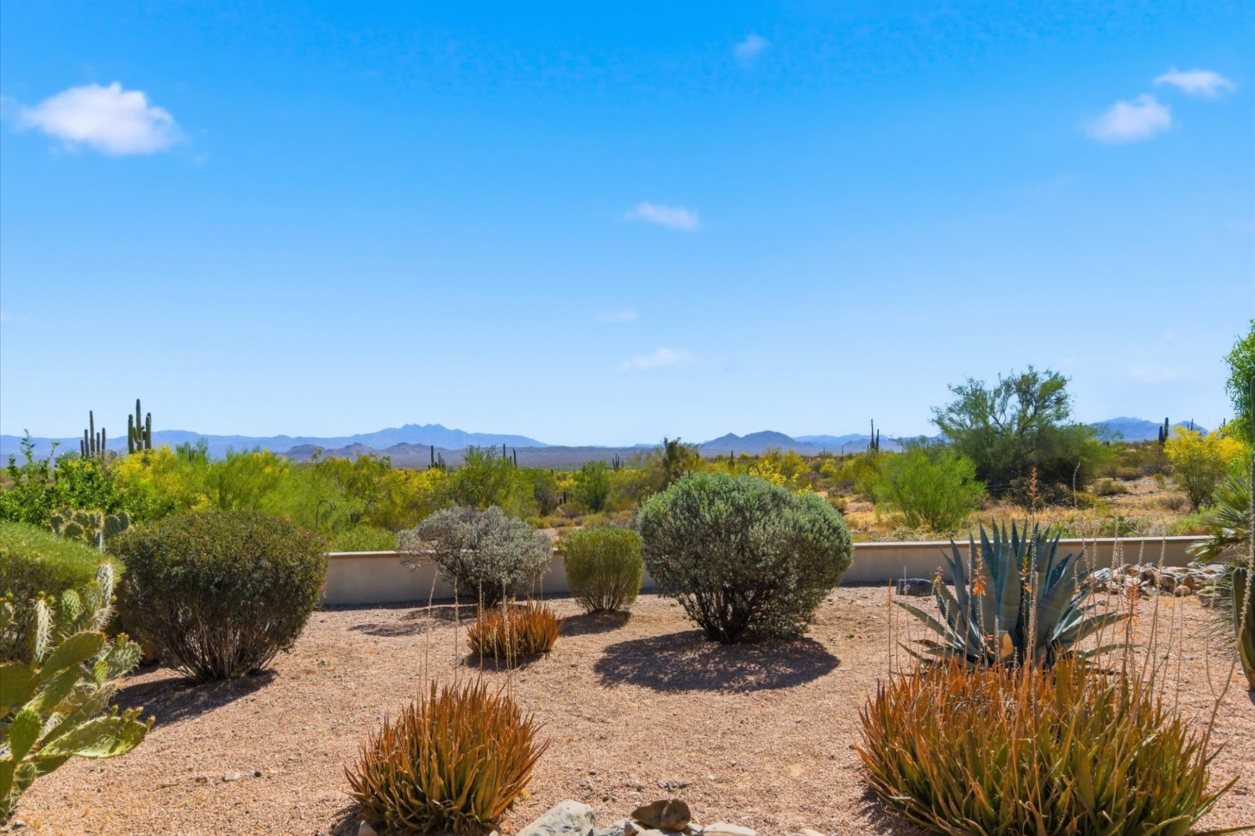  14433 N San Carlos Drive¦Fountain Hills, AZ - 物件實景