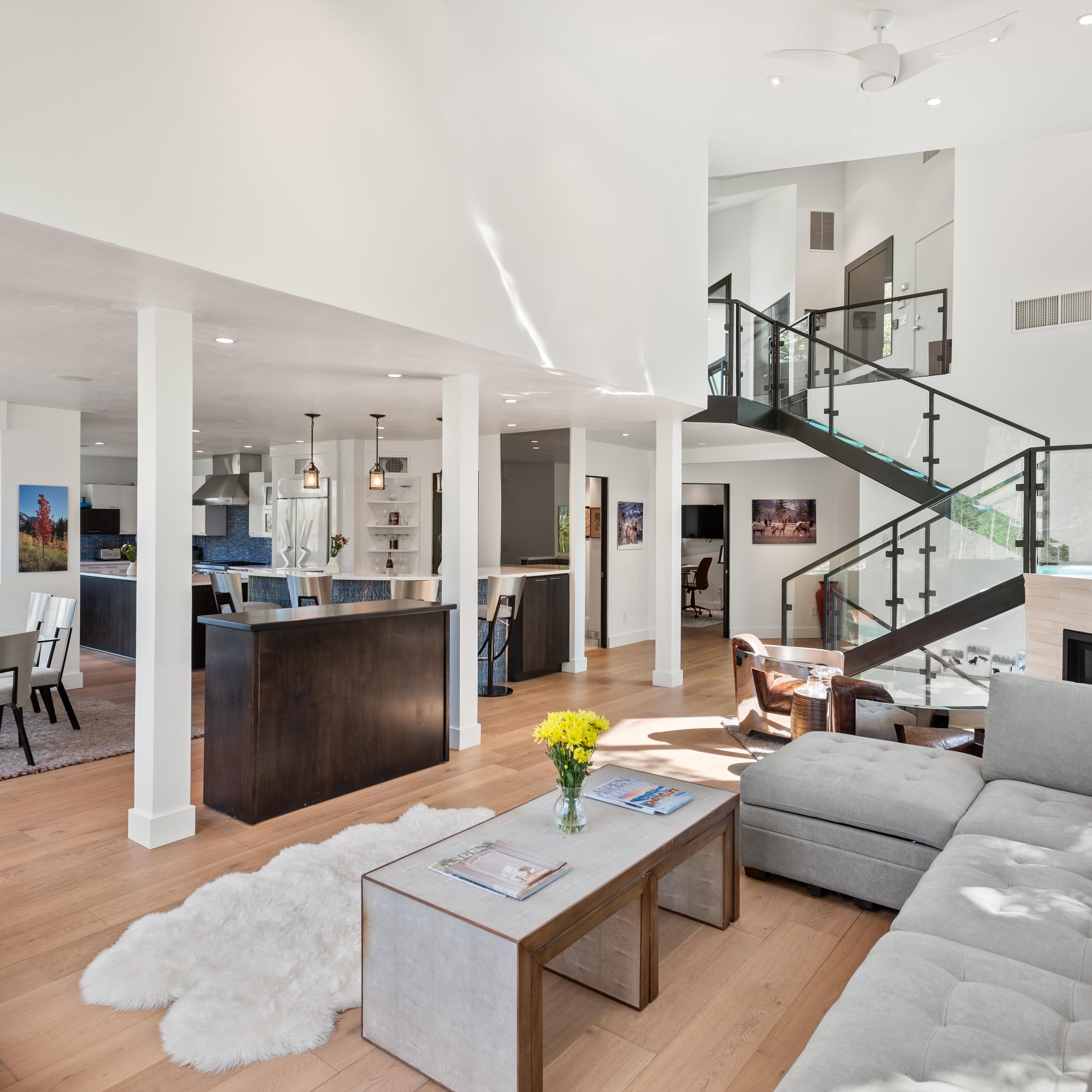  257 Mountain Laurel Drive, Aspen, CO, 81611 - 物件實景