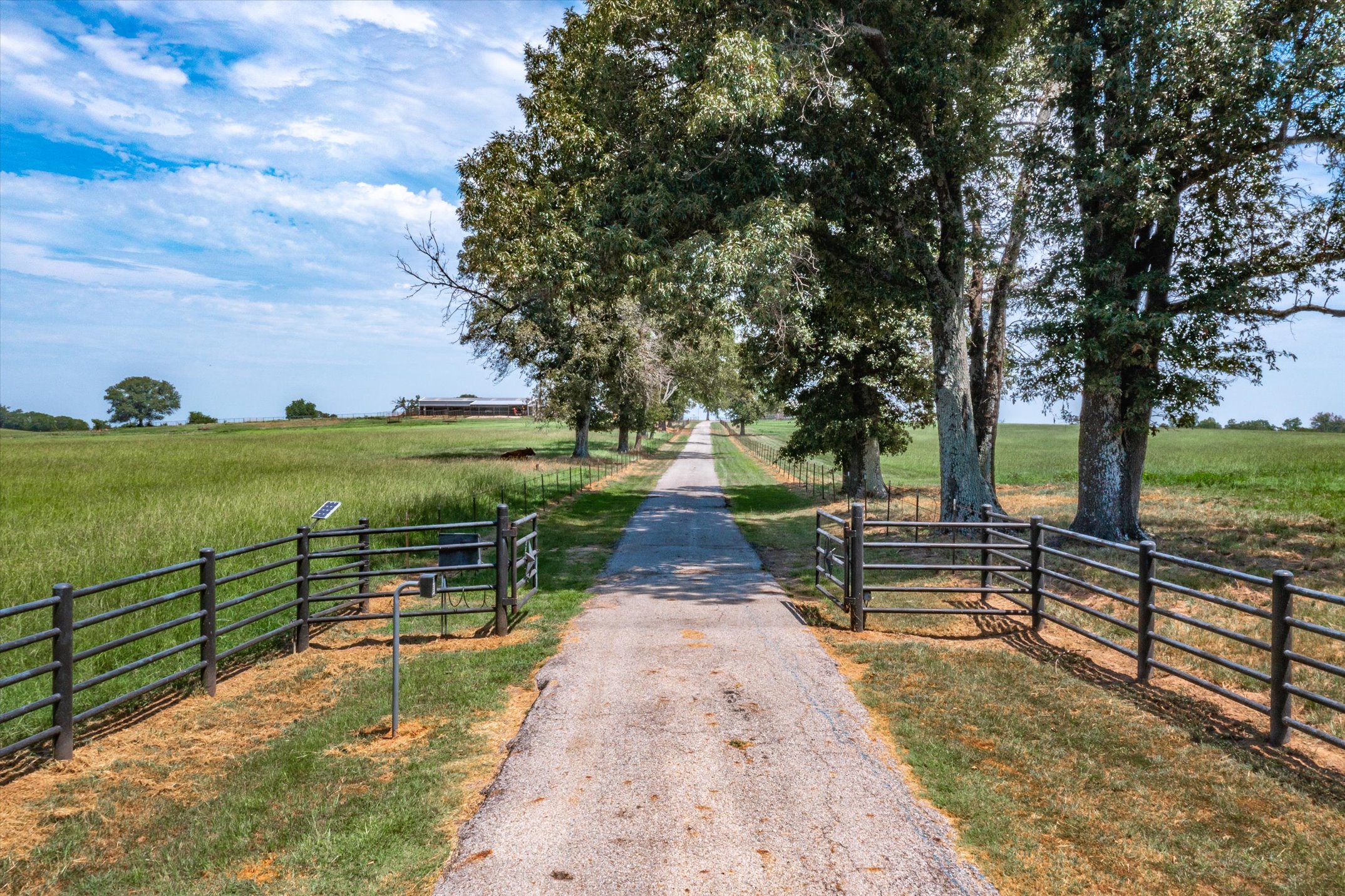 Grand Saline, Texas, 75140, United States, 3 Bedrooms Bedrooms, ,4 BathroomsBathrooms,Residential,For Sale,1977642