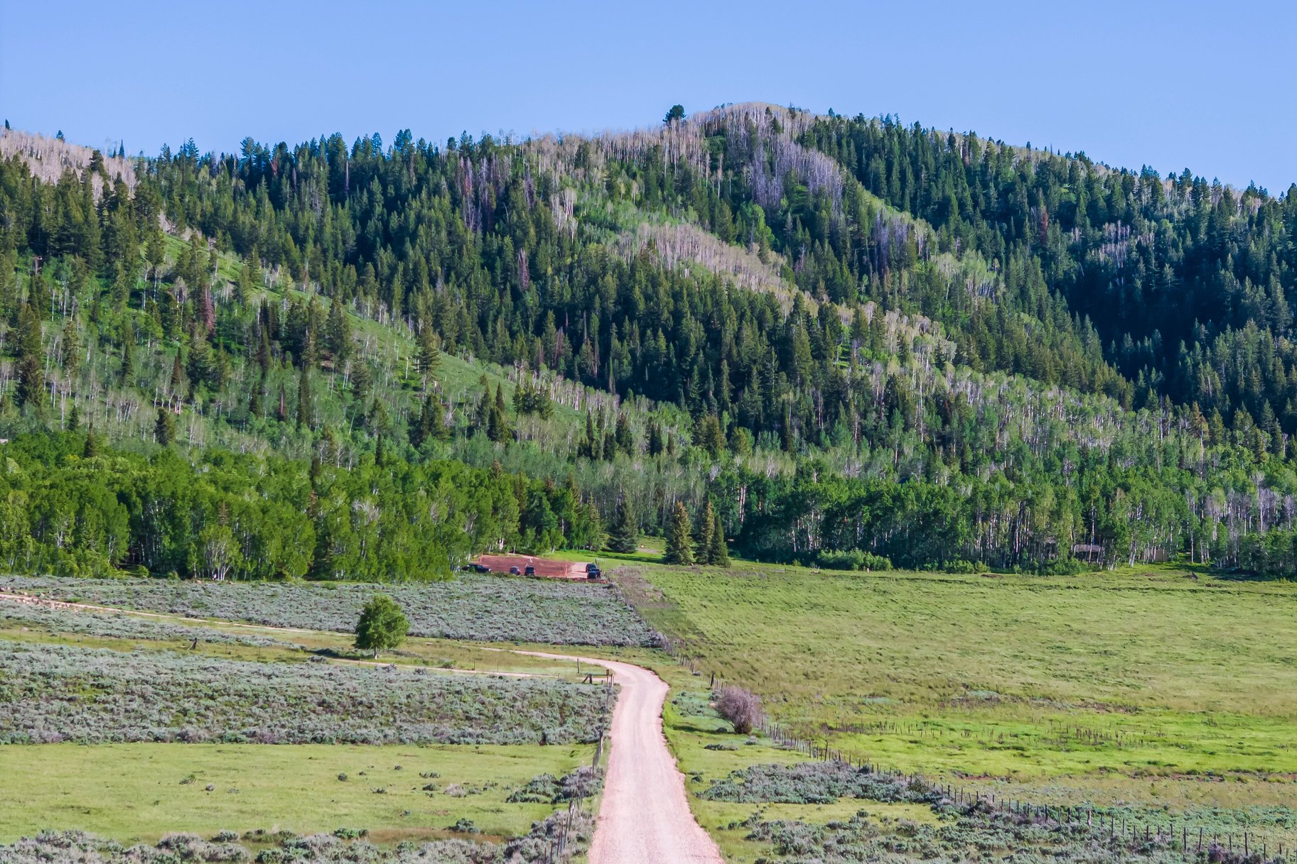 Secluded Weber Canyon Living Near Park City - 物件實景