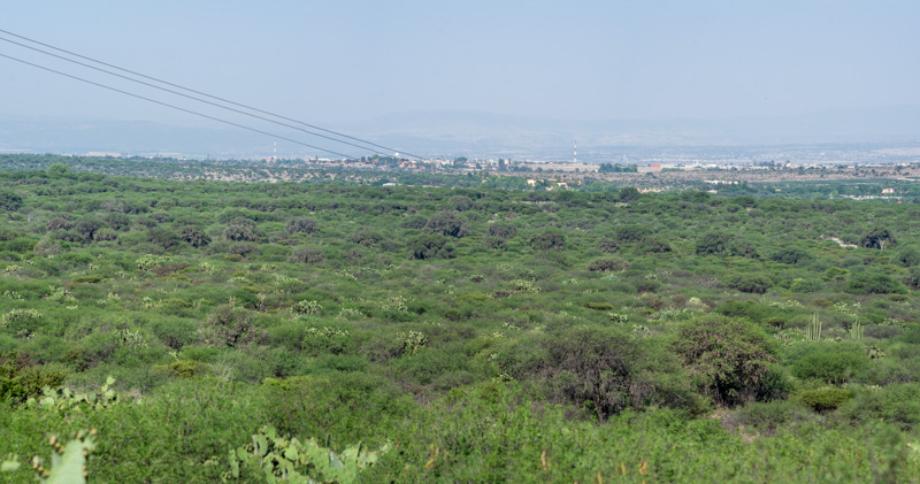 Los Sagrados, San Miguel de Allende, Guanajuato, 37888, Mexico, 1 Bedroom Bedrooms, ,Residential,For Sale,Los Sagrados,1557488