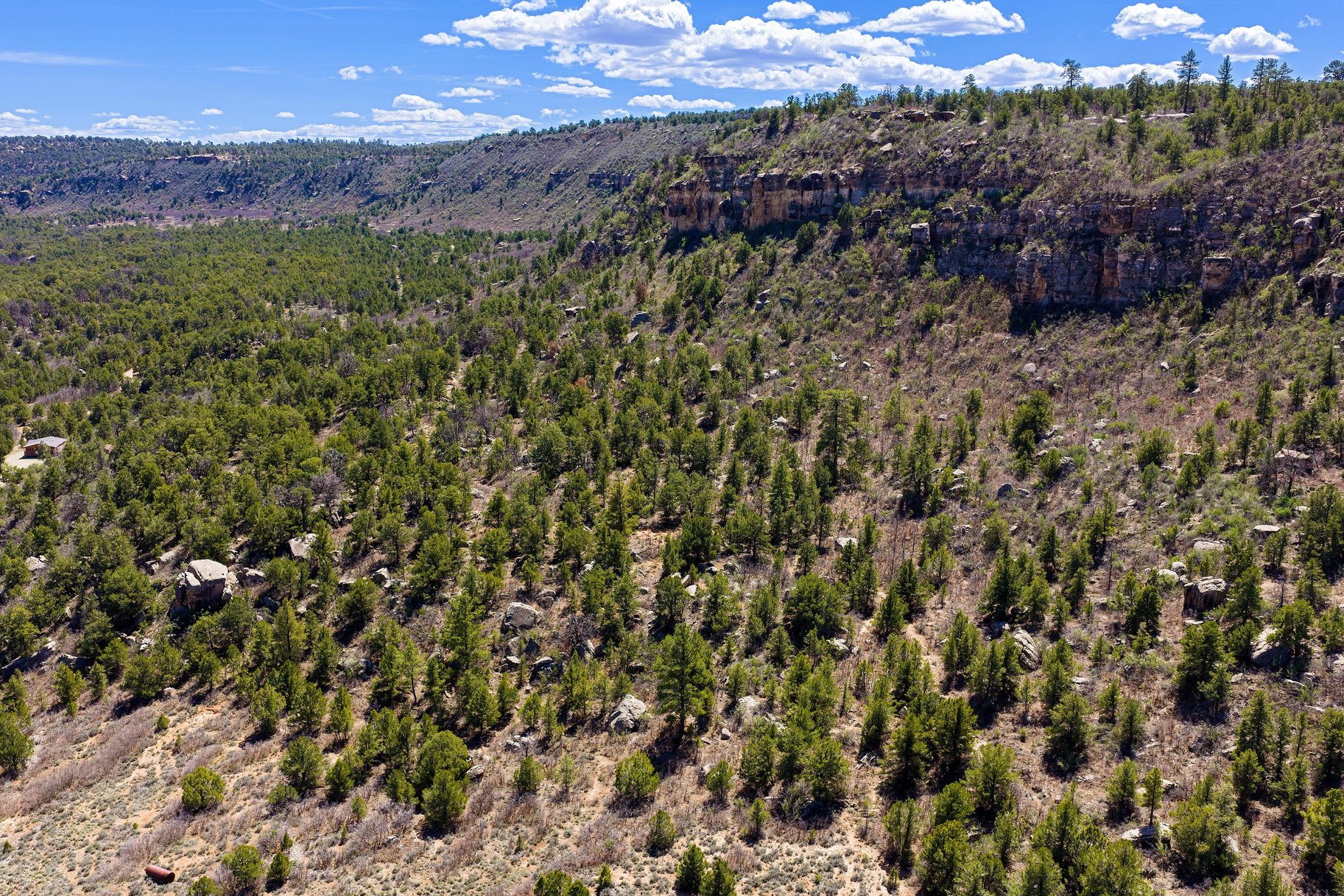  Secluded 18 Acre Wooded Lot In Old La Sal Utah - 物件實景