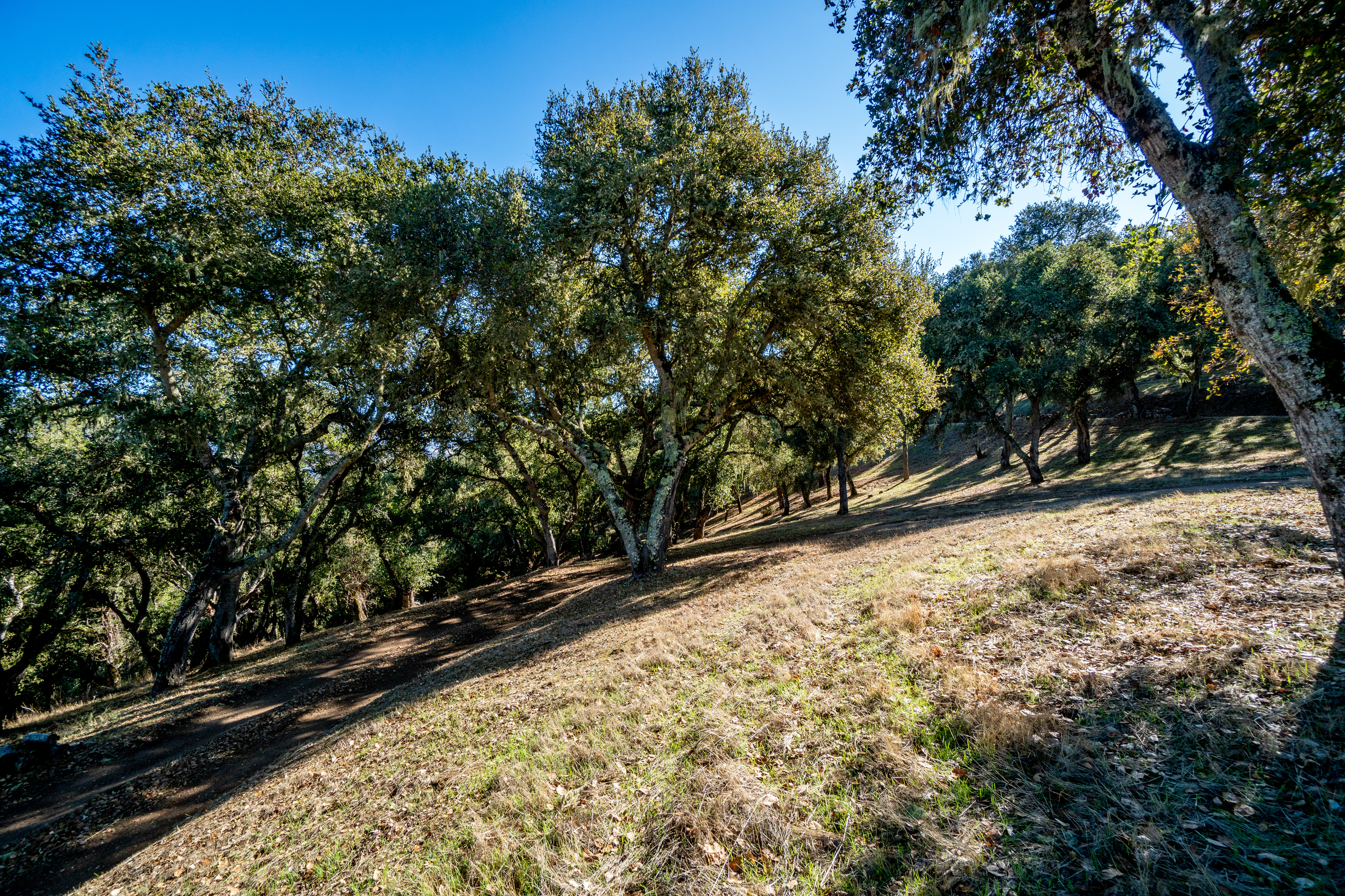  17114 Cachagua Road - 物件實景