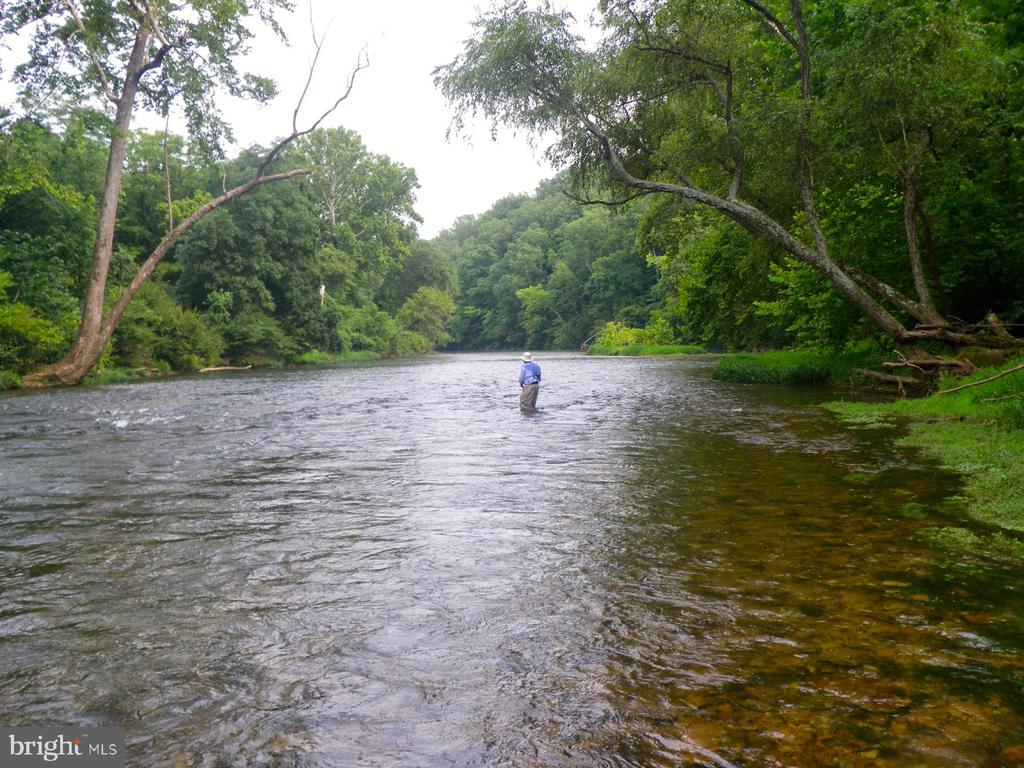 Fredericksburg, Virginia, 22405, United States, 5 Bedrooms Bedrooms, ,3 BathroomsBathrooms,Residential,For Sale,1987075