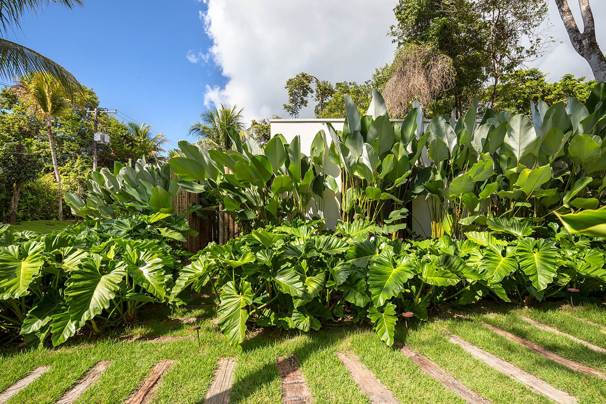  Contemporary Home in Altos de Trancoso, only few minutes from the Quadrado - 物件實景