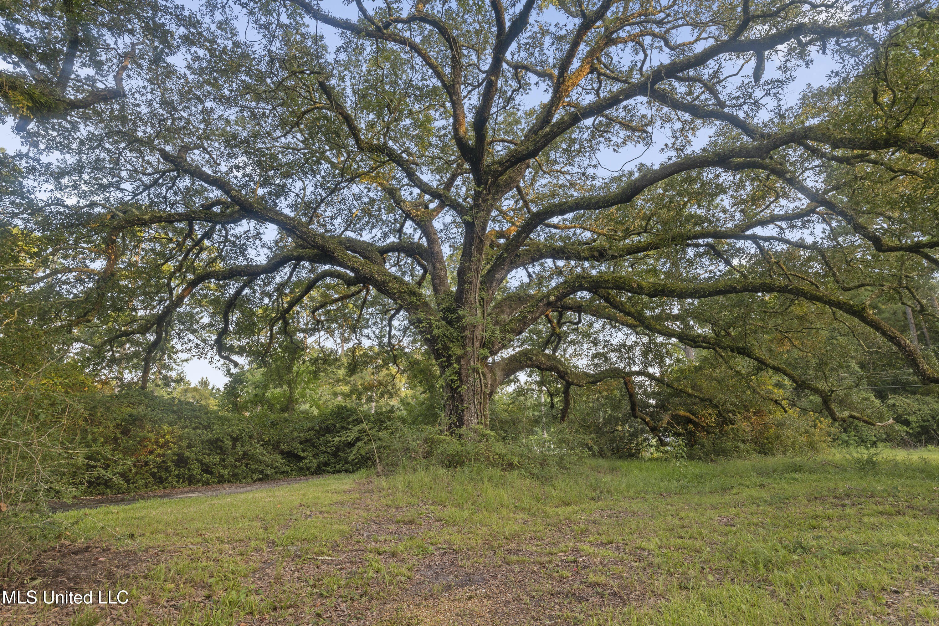 Ocean Springs, Mississippi, 39564, United States, ,Land,For Sale,1978678