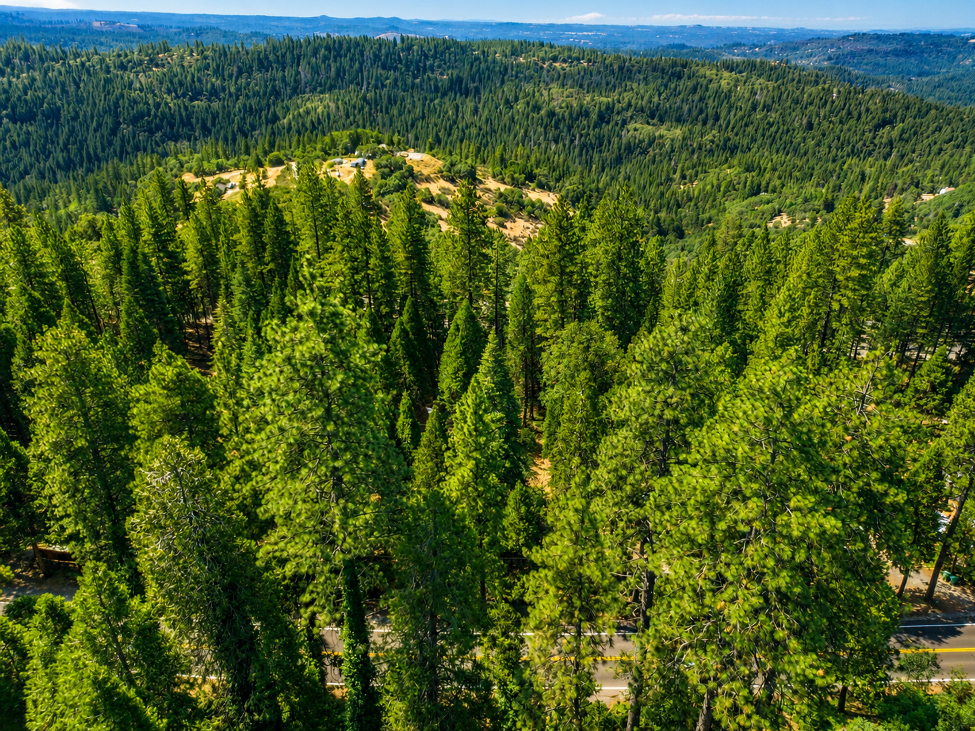  4934 Cedar Drive, Camino, CA 95709 - 物件實景