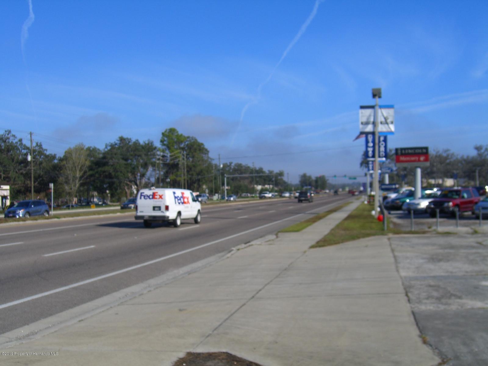 Brooksville, Florida, 34601, United States, ,Land,For Sale,1976976