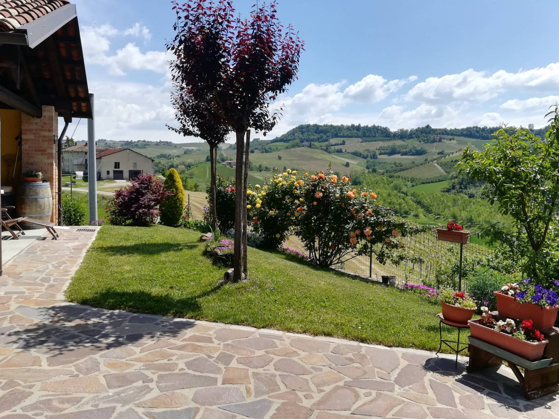 Localit? riviera, Monforte d'Alba, Cuneo, 12065, IT, 3 Bedrooms Bedrooms, ,3 BathroomsBathrooms,Residential,For Sale,Localit? riviera,1639521