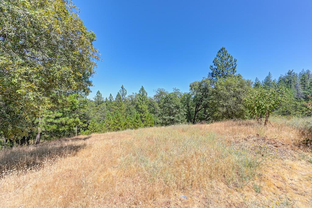 Applegate, California, 95703, United States, 3 Bedrooms Bedrooms, ,3 BathroomsBathrooms,Residential,For Sale,1912050