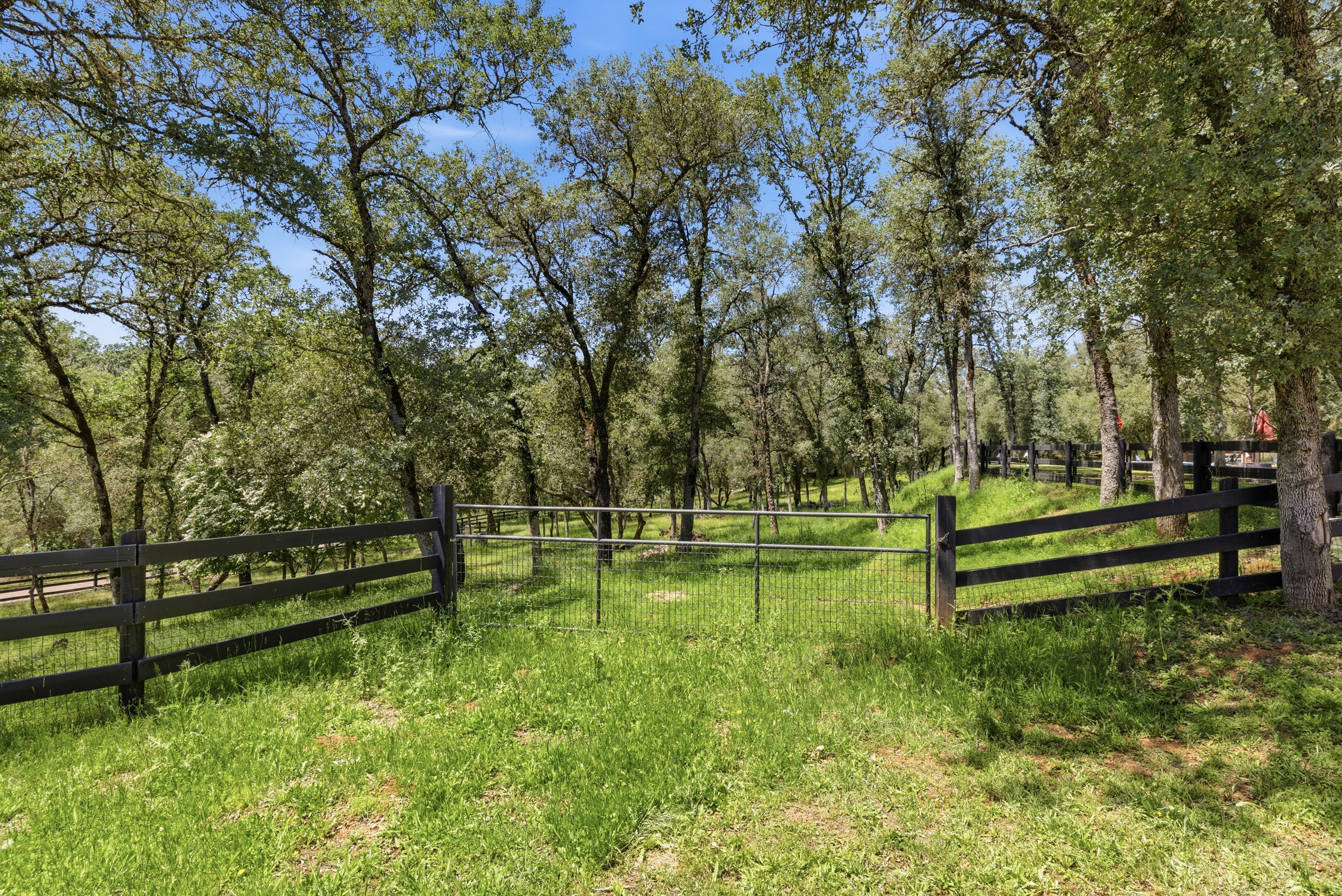 1400 Crooked Mile Court, Placerville, CA 95667 - 物件實景