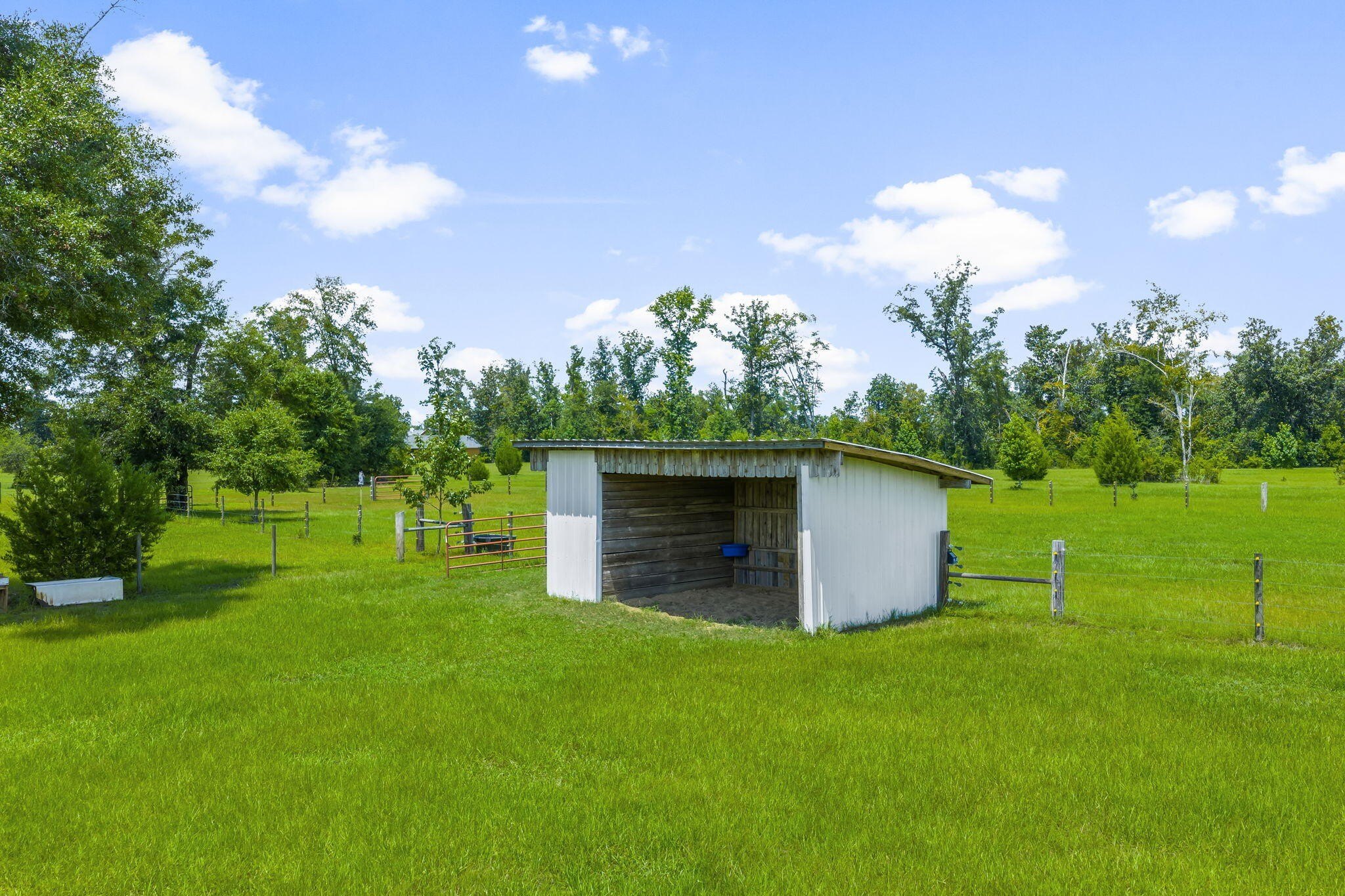 Youngstown, Florida, 32466, United States, 6 Bedrooms Bedrooms, ,6 BathroomsBathrooms,Residential,For Sale,1981831