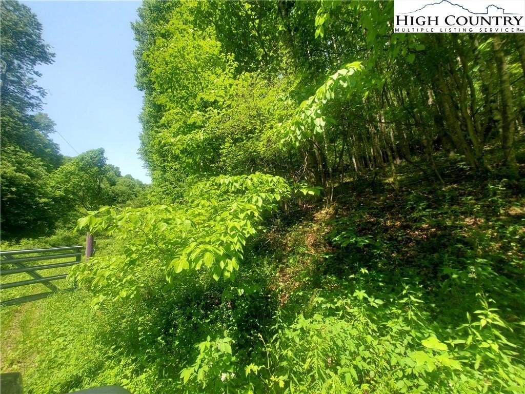 Warrensville, North Carolina, 28693, United States, ,Land,For Sale,1984173