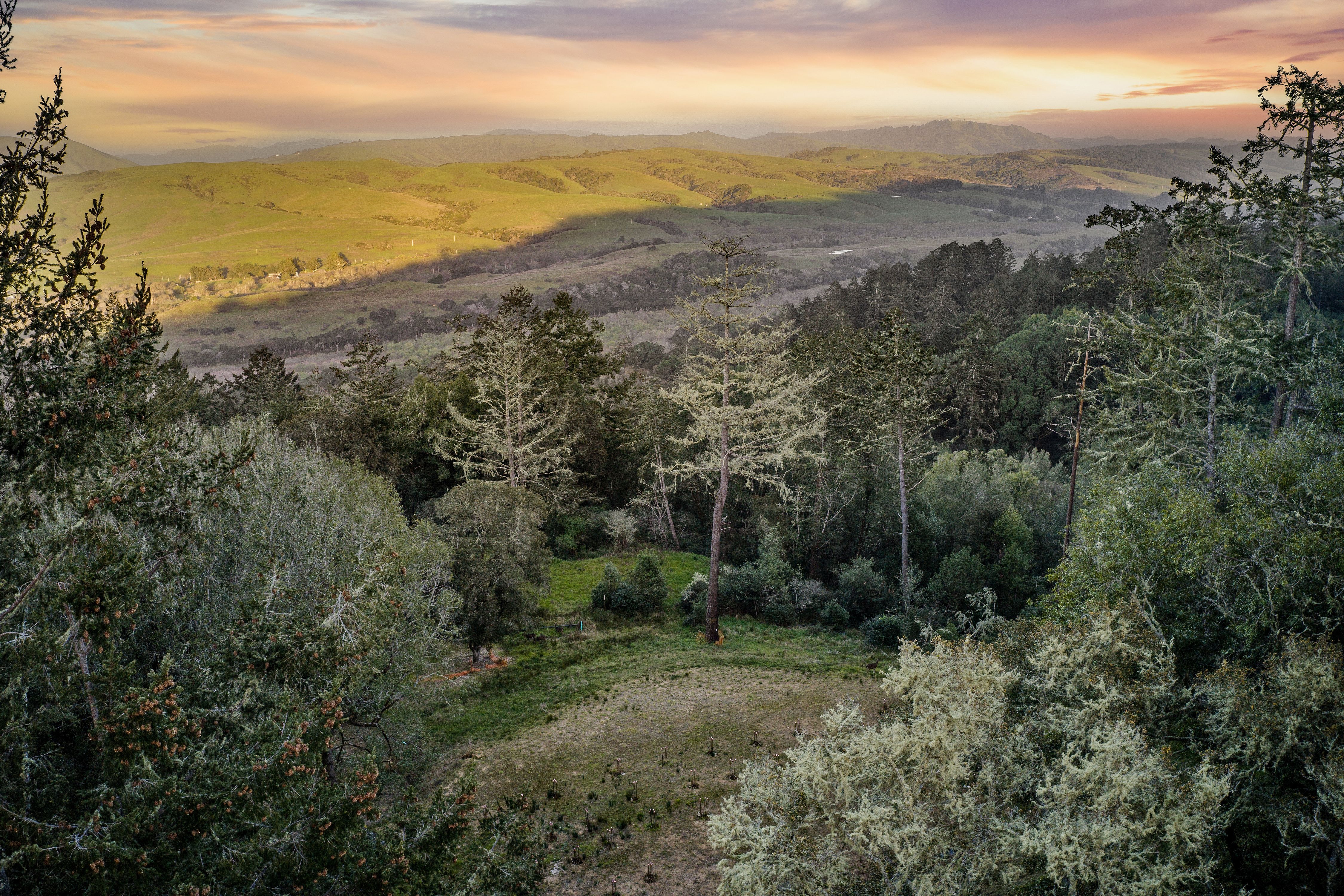  Find your Peace  in the Embrace of Nature - 物件實景