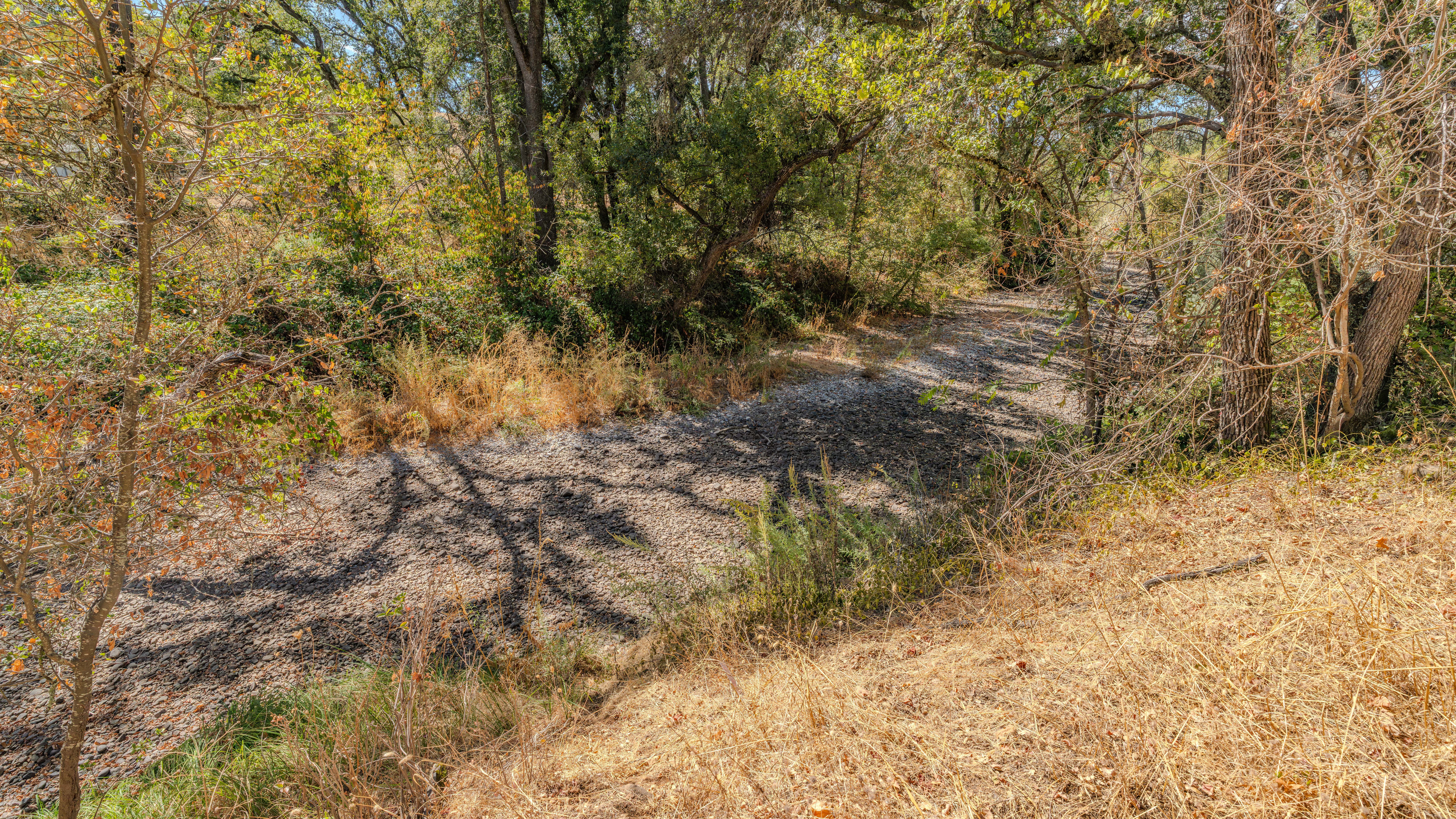  Creek Frontage - Views - Stroll to Downtown Sutter Creek - 物件實景