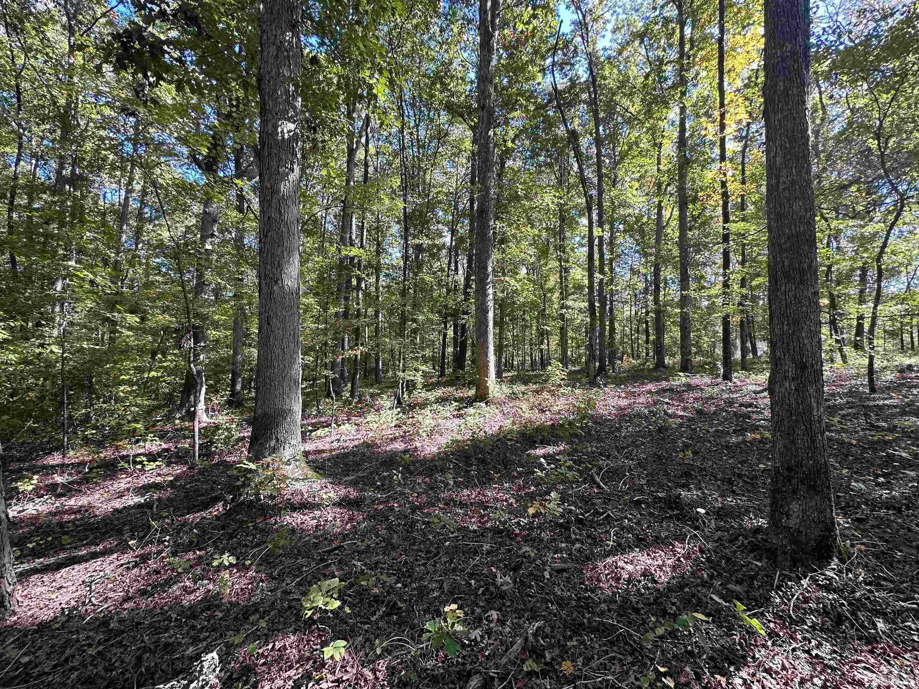 8017 Farrington Mill Road, Chapel Hill, North Carolina, 27517, United States, ,Land,For Sale,8017 Farrington Mill Road,1623508