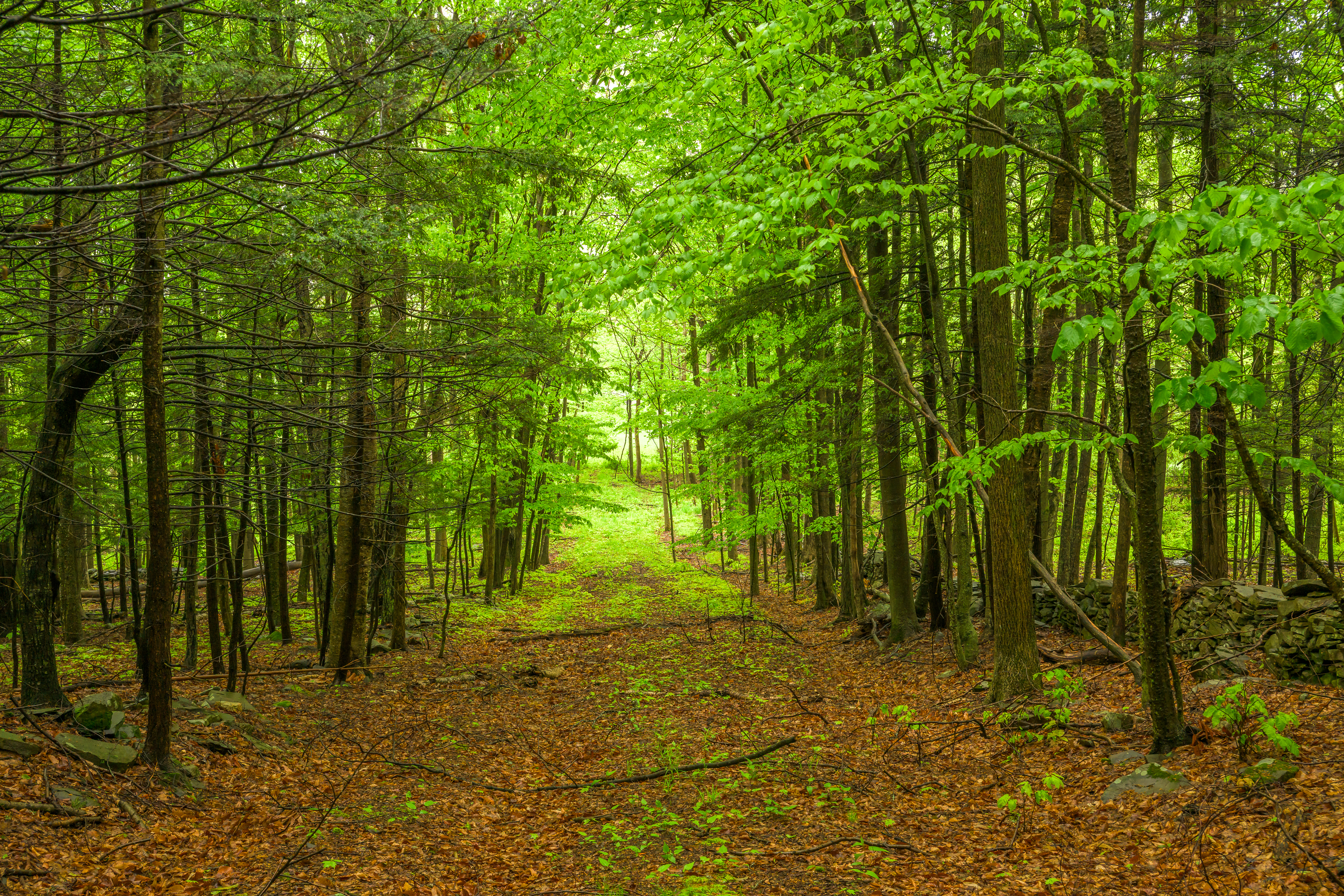  Historic Rensselaerville Federal - 物件實景