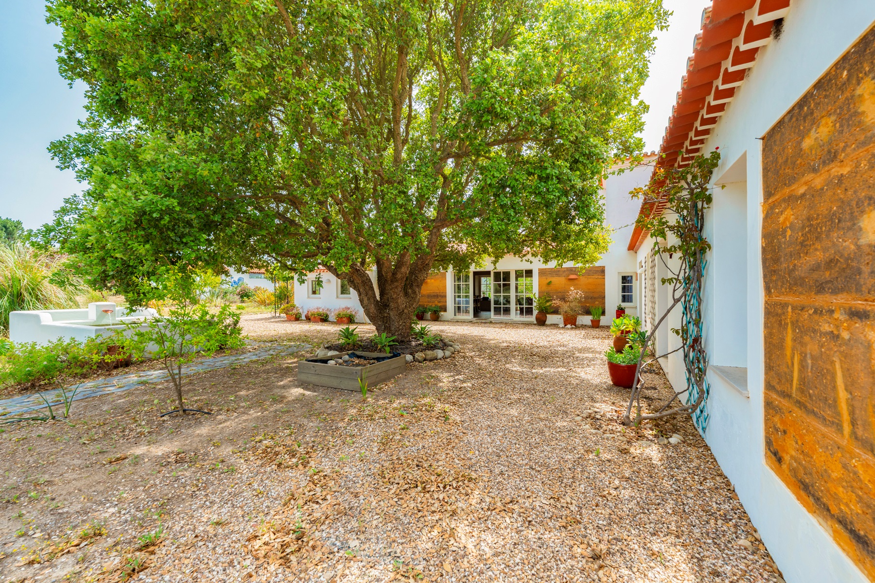  Farm, 7 bedrooms, for Sale - 物件實景